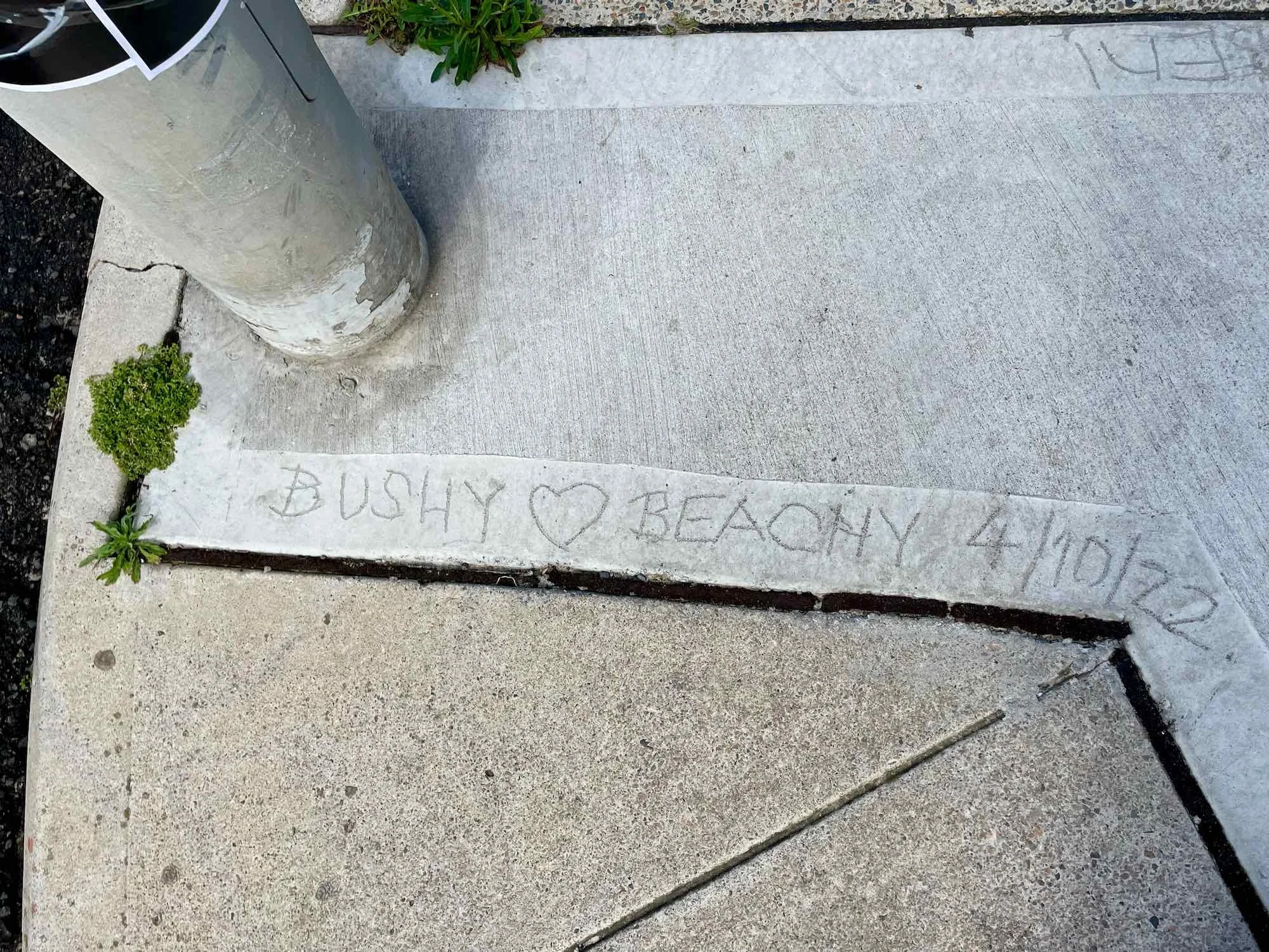 Happy Anniversary Bushy and Beachy!