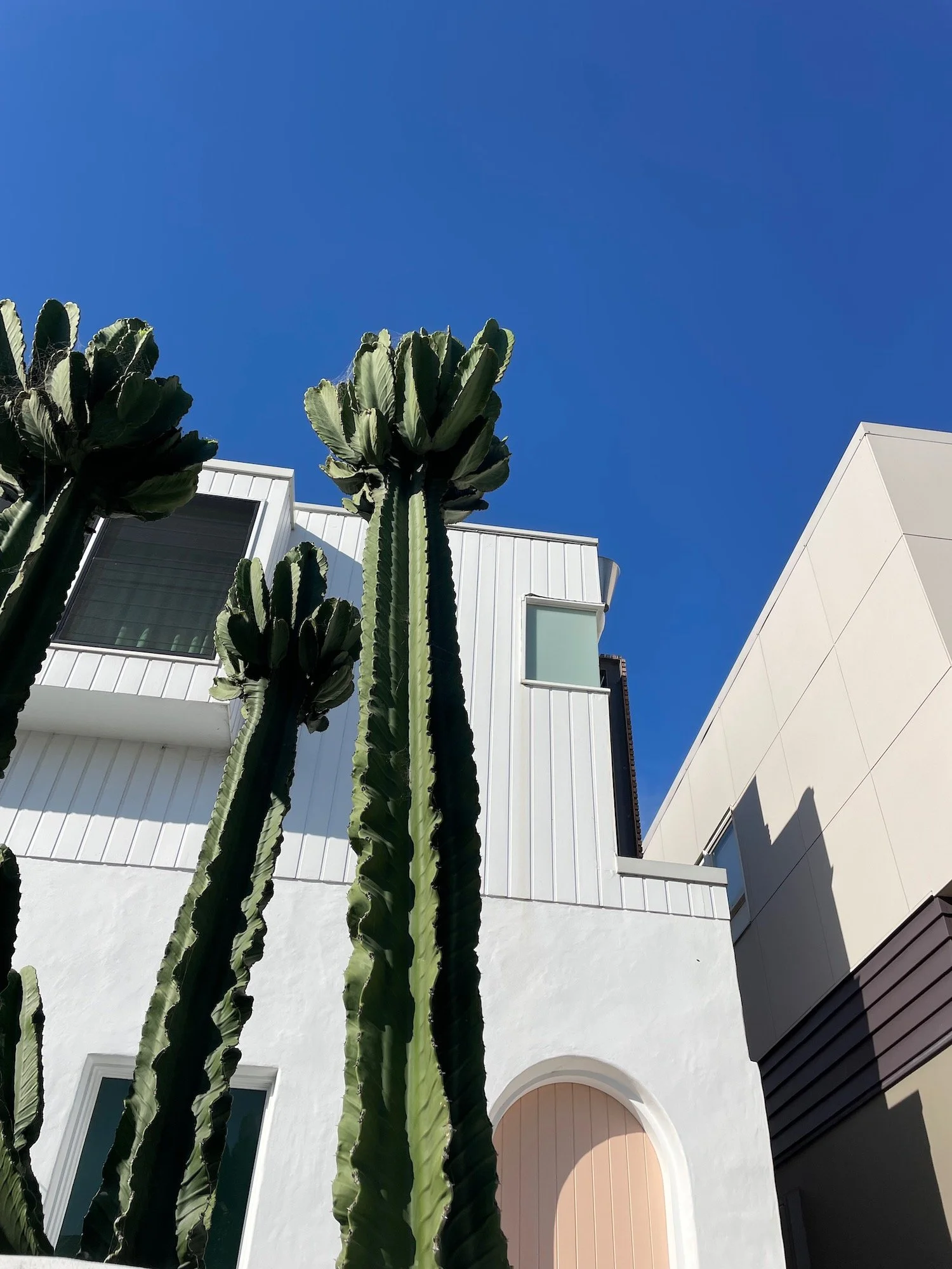 Brighton Blvd Build with Cactii