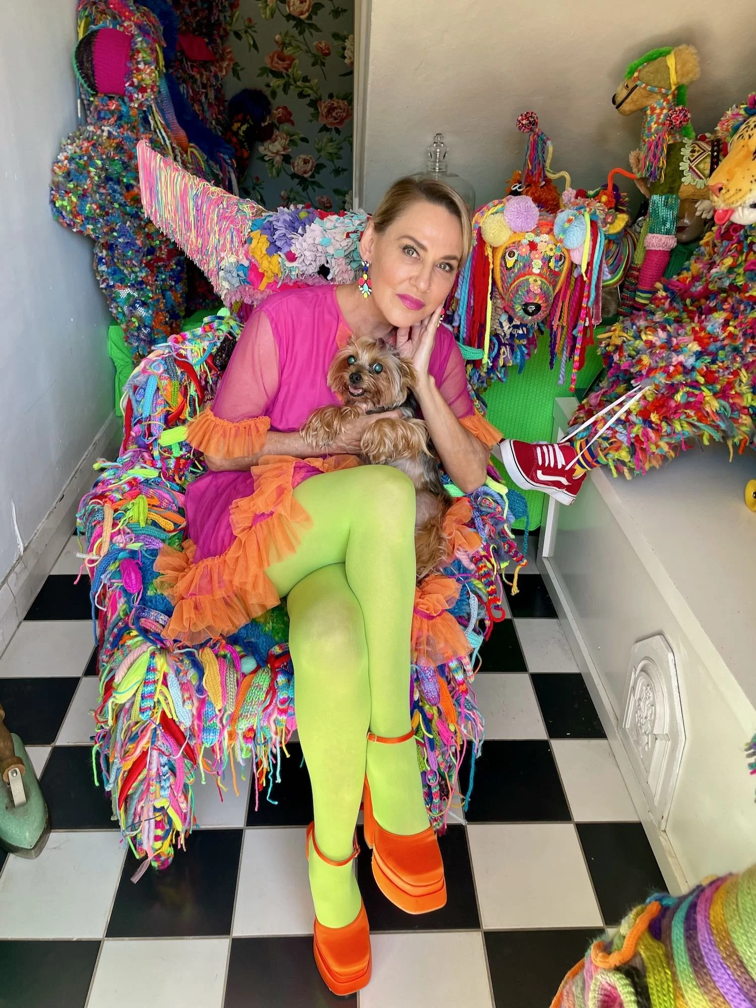 Amanda Jane aka Baby Pie and Dudley the Rock n Roll Yorkie