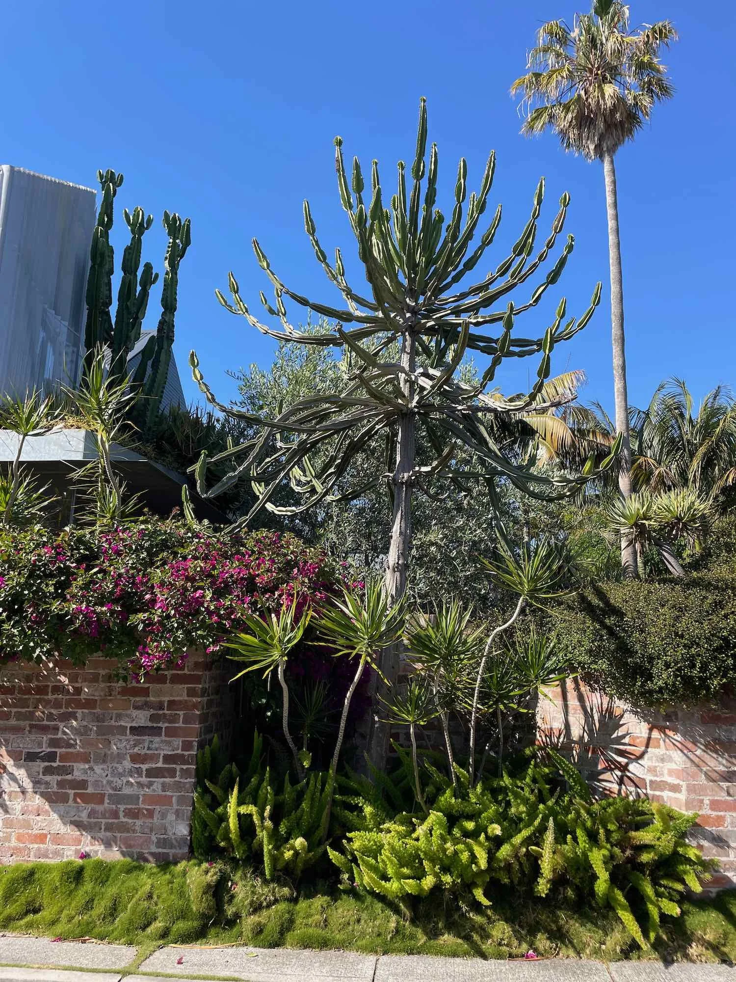 Recent Renovation with Landscaping