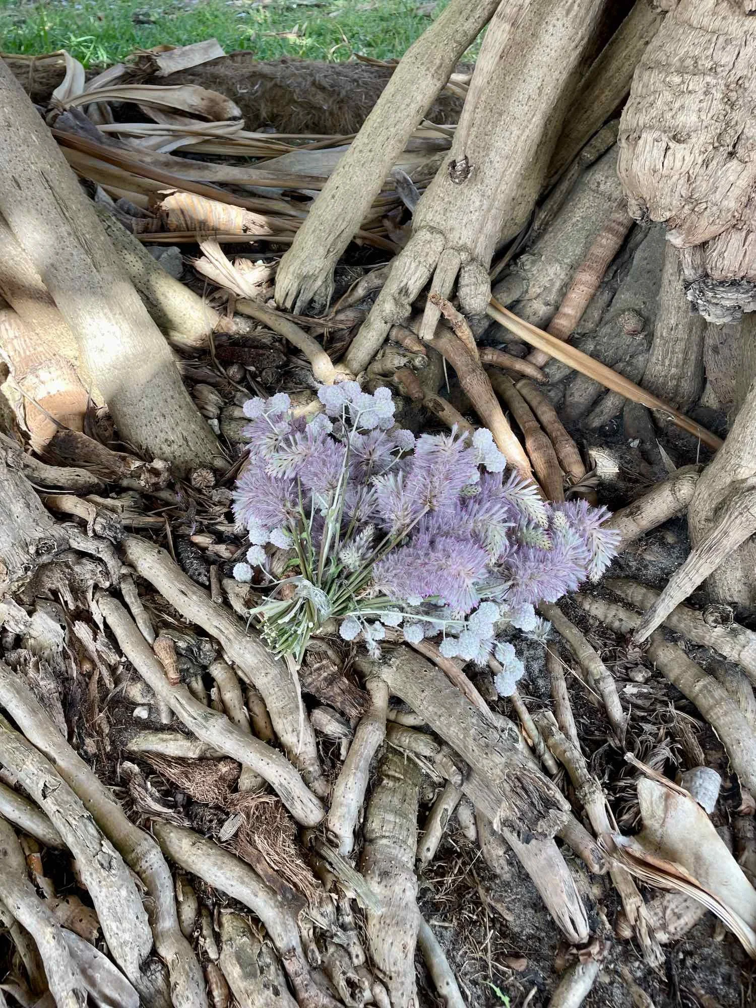 A Photo in Need of a Caption