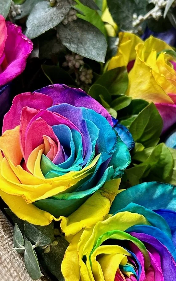 Rainbow Roses at Harris Farm