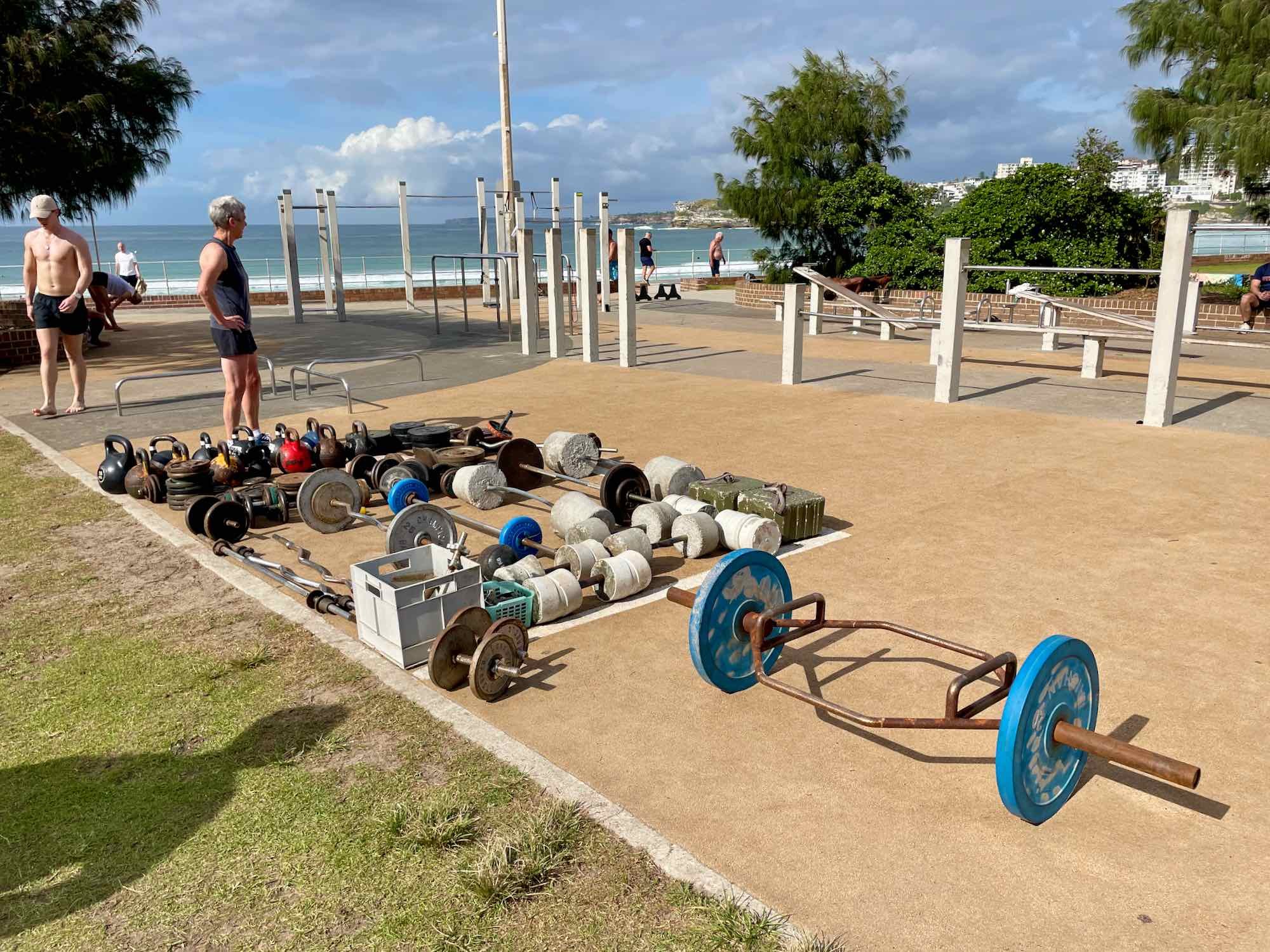 Stocktaking the Dumbells in Muscle Park