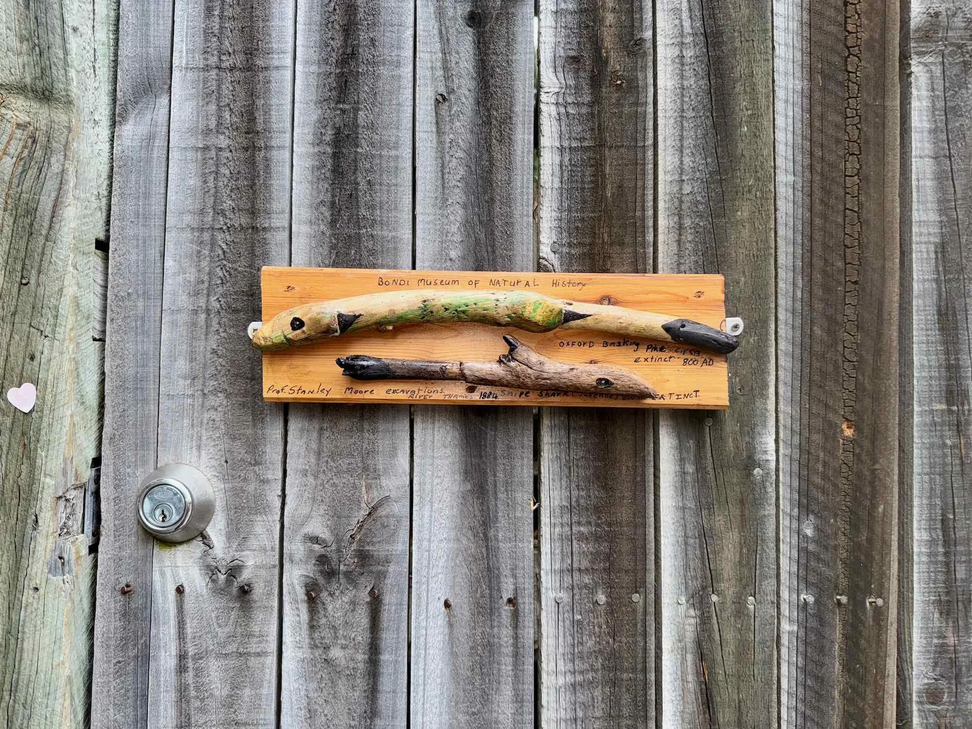 Greg Perano's Bondi Museum of Modern History