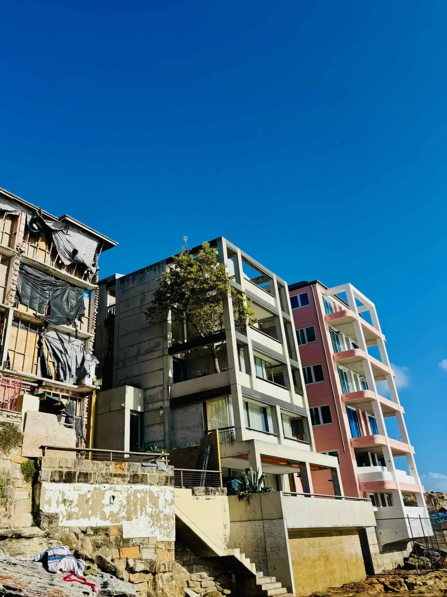 Tree in a Pot on a Deck