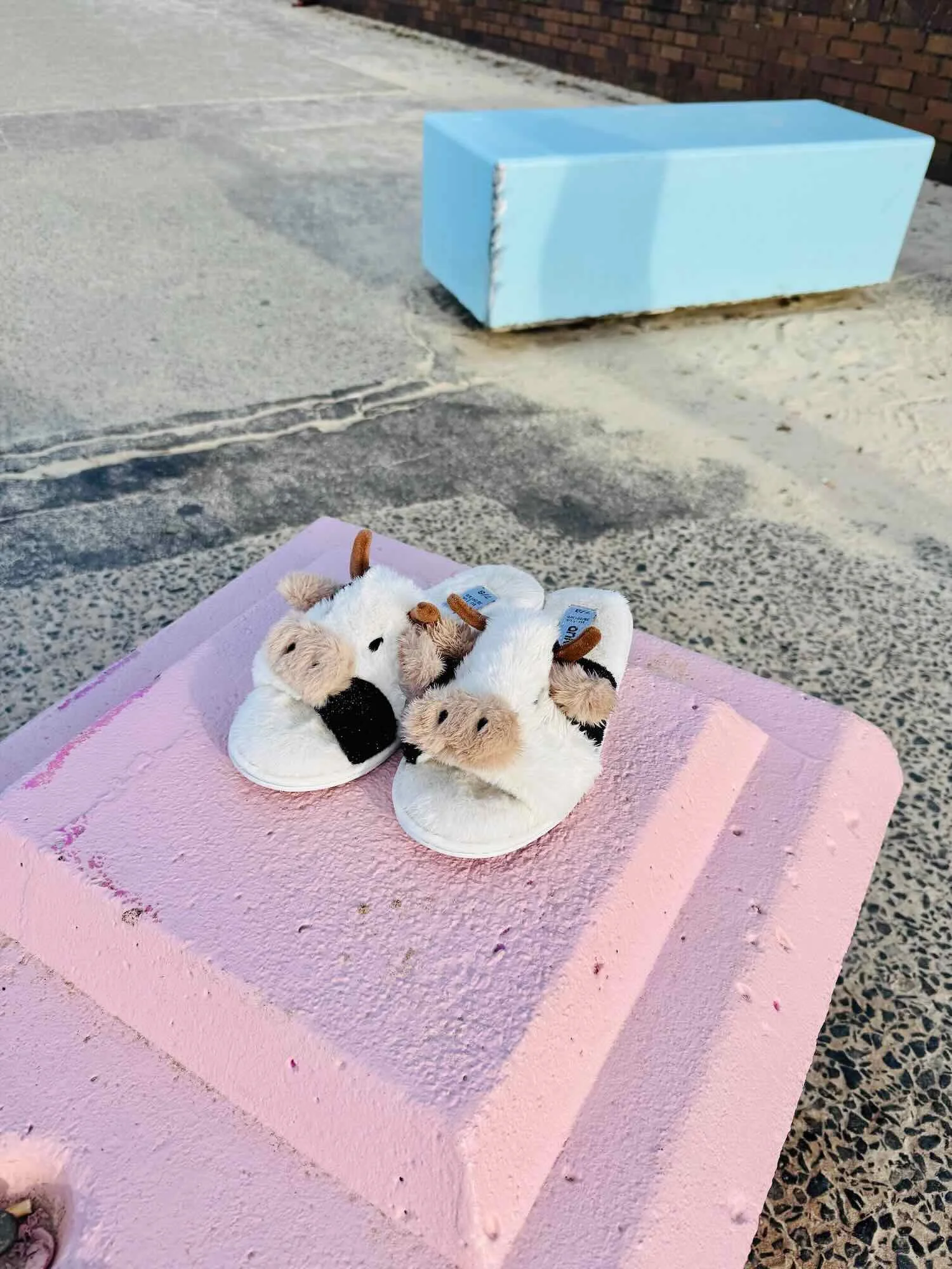 Cow Slippers