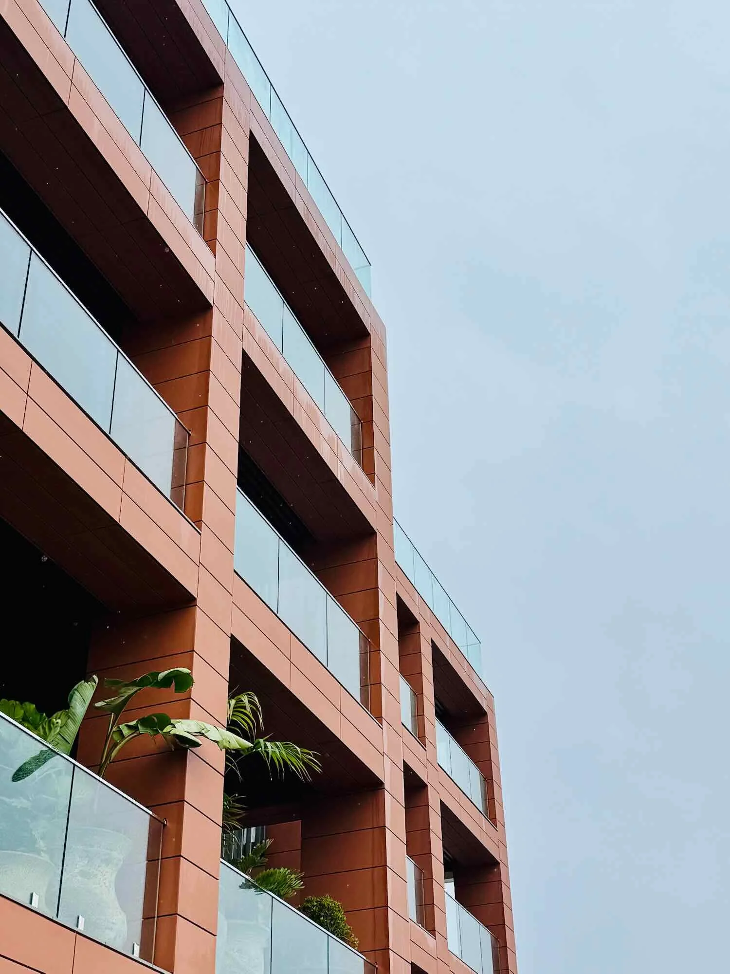 Old Diggers New Colour