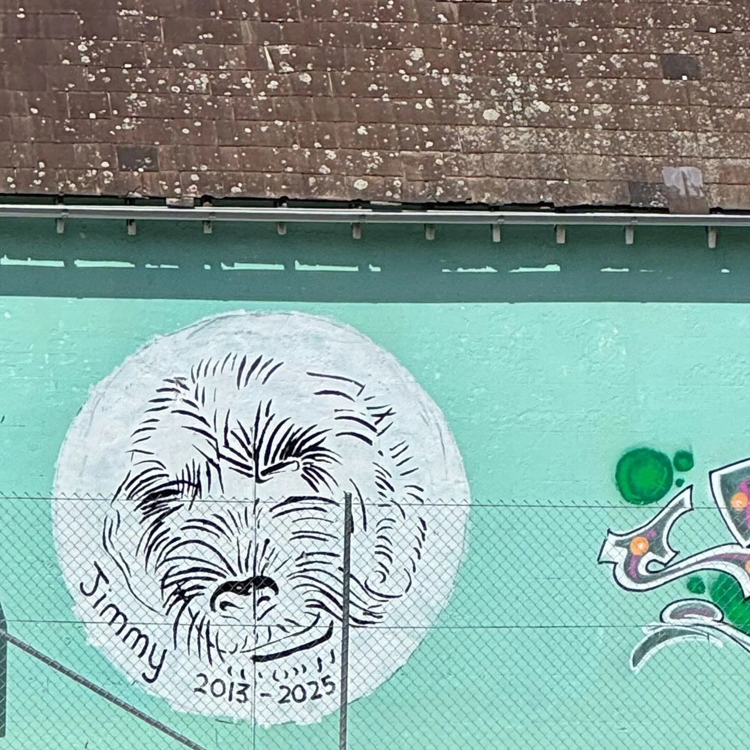 Jimmy the Dog 2013–2025