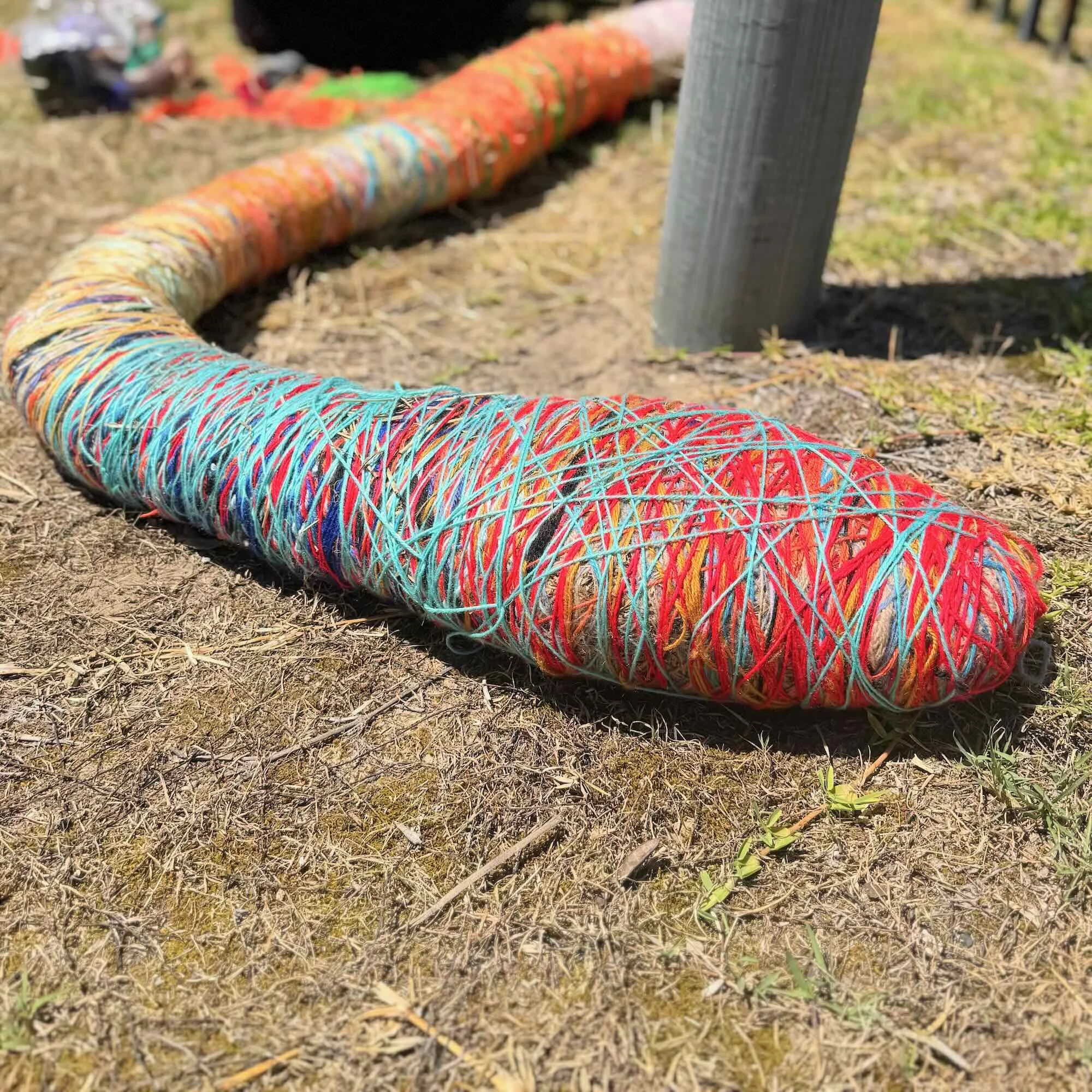 Sharyn Egan's Rainbow Grass Snake Finds New Home