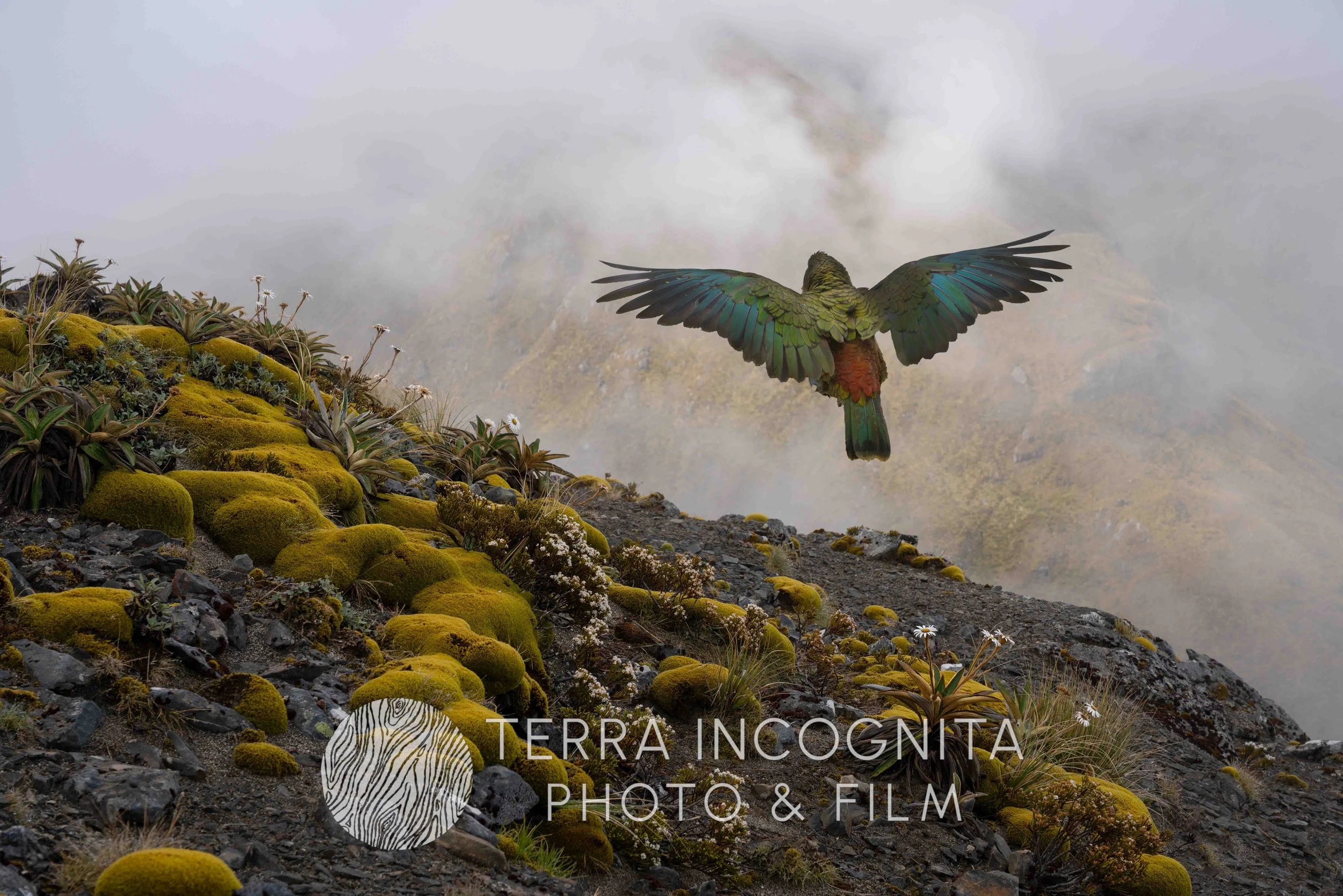 JRE03041-Edit (2).jpg