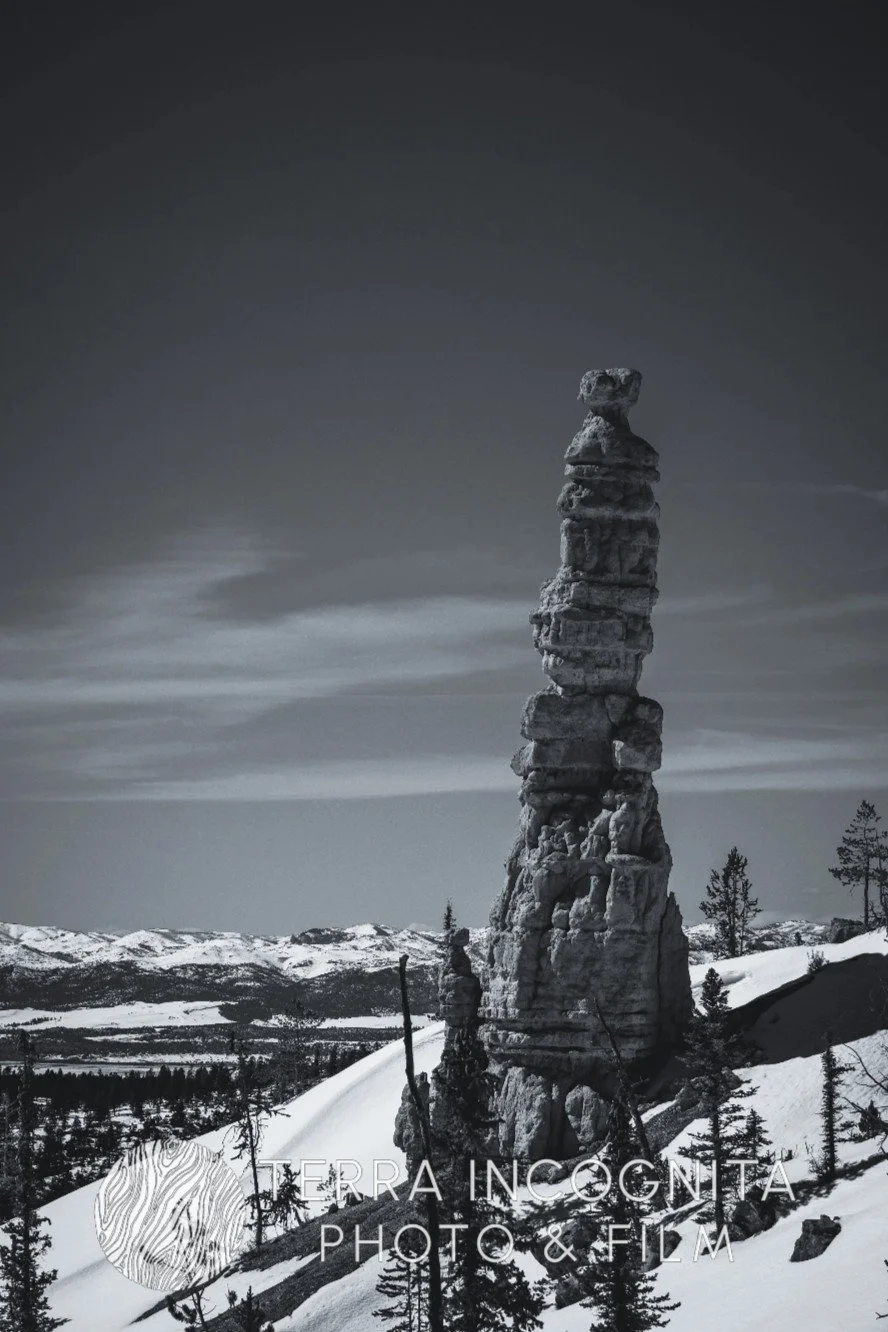 Screenshot 2025-10-15 135227.jpg