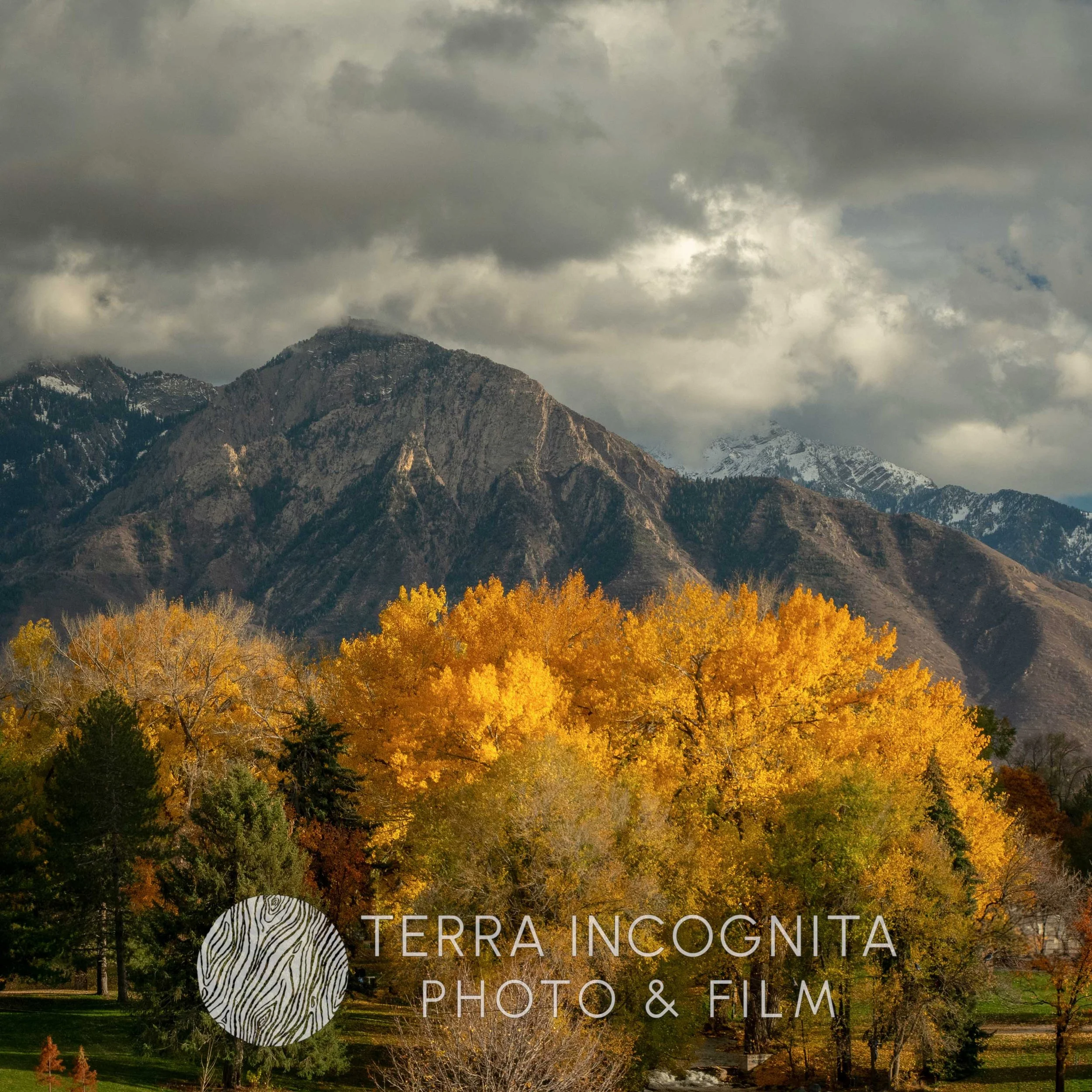 DSC06592-Pano (2).jpg