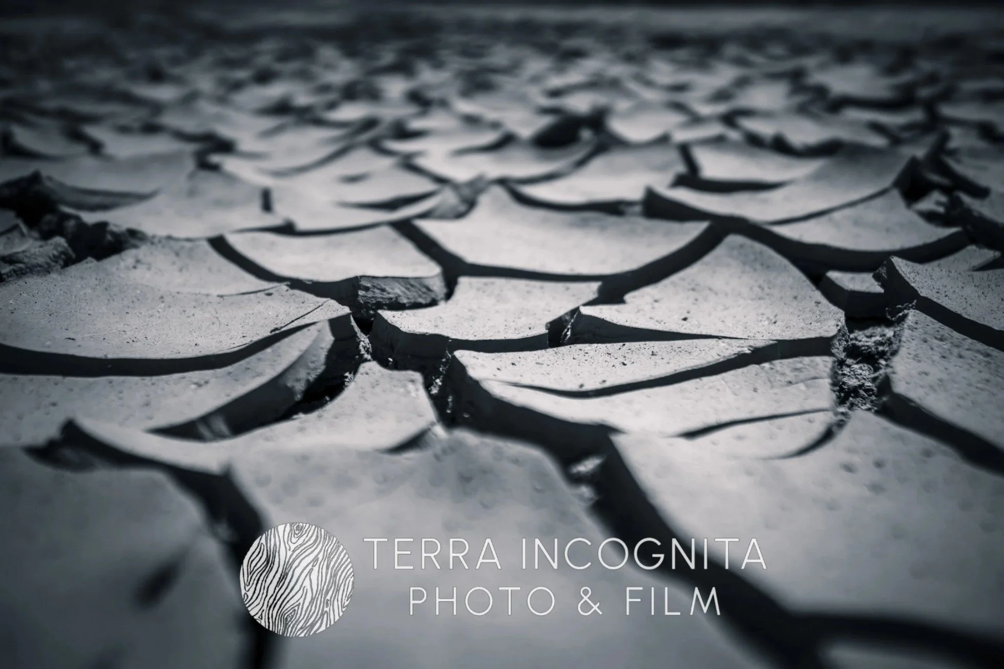 Screenshot 2025-10-15 141836.jpg