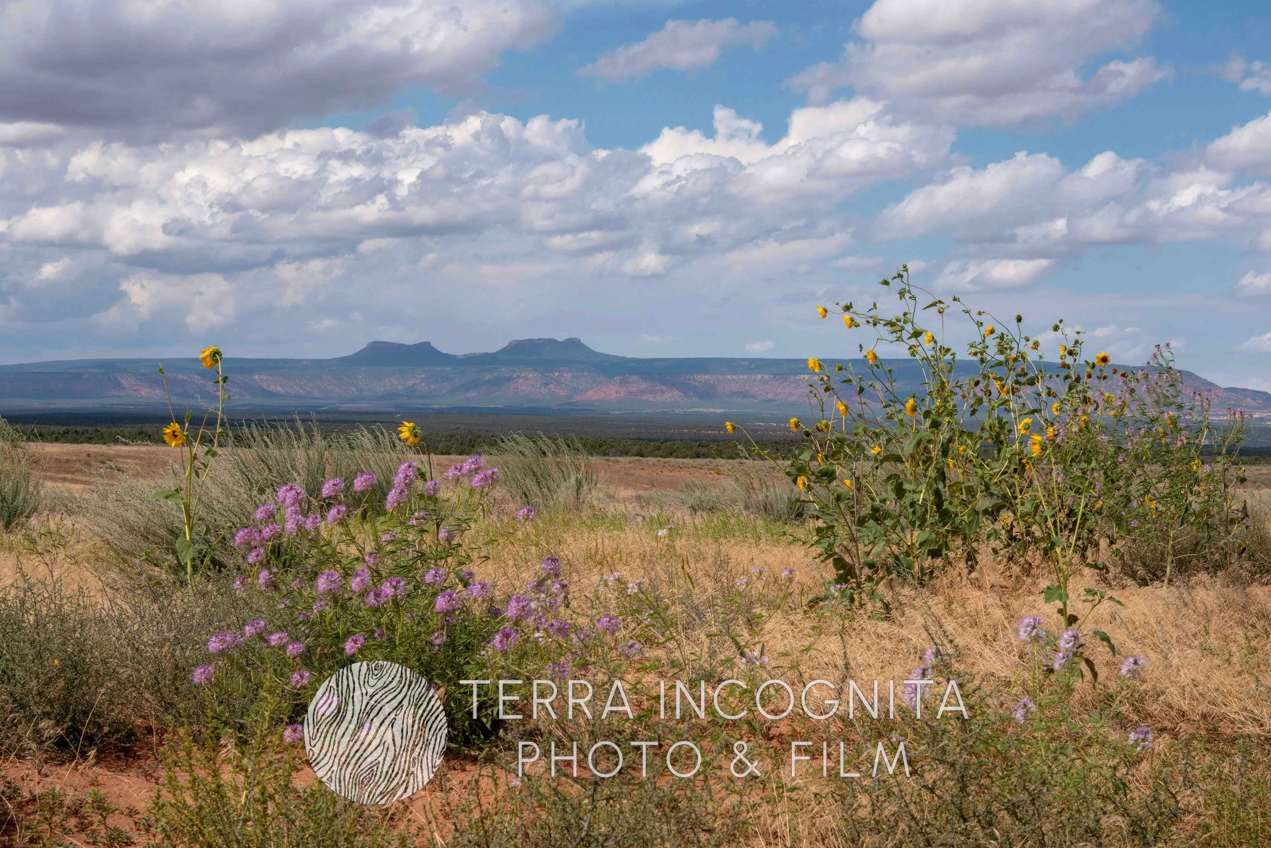 Cabin Exterior (58 of 155)-2.jpg