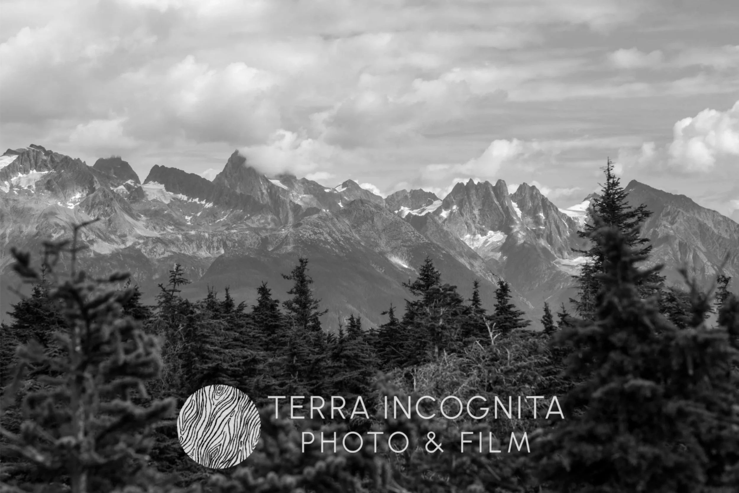 Screenshot 2025-10-16 172158.jpg