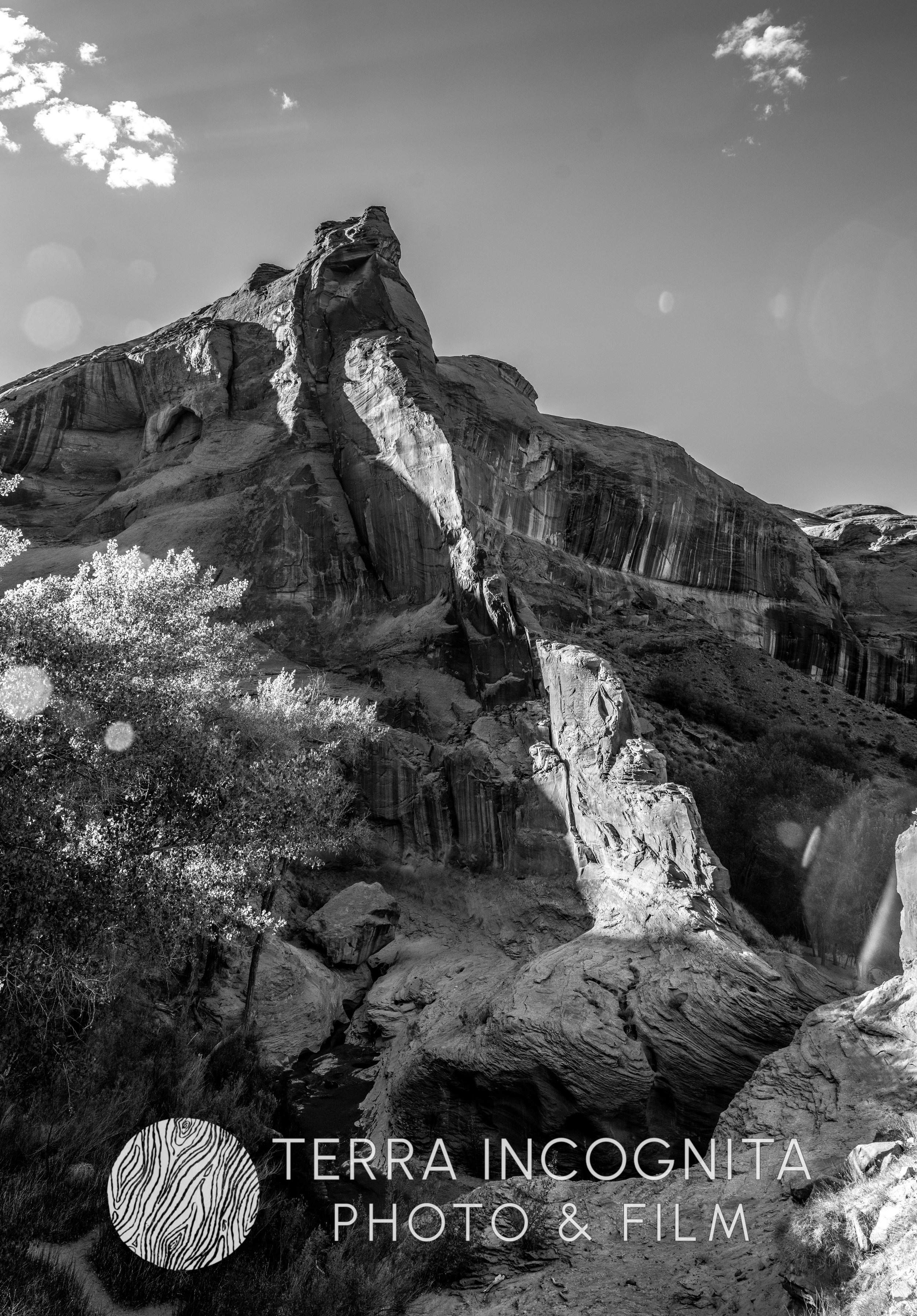 DSC03183 (3)-Pano-2.jpg