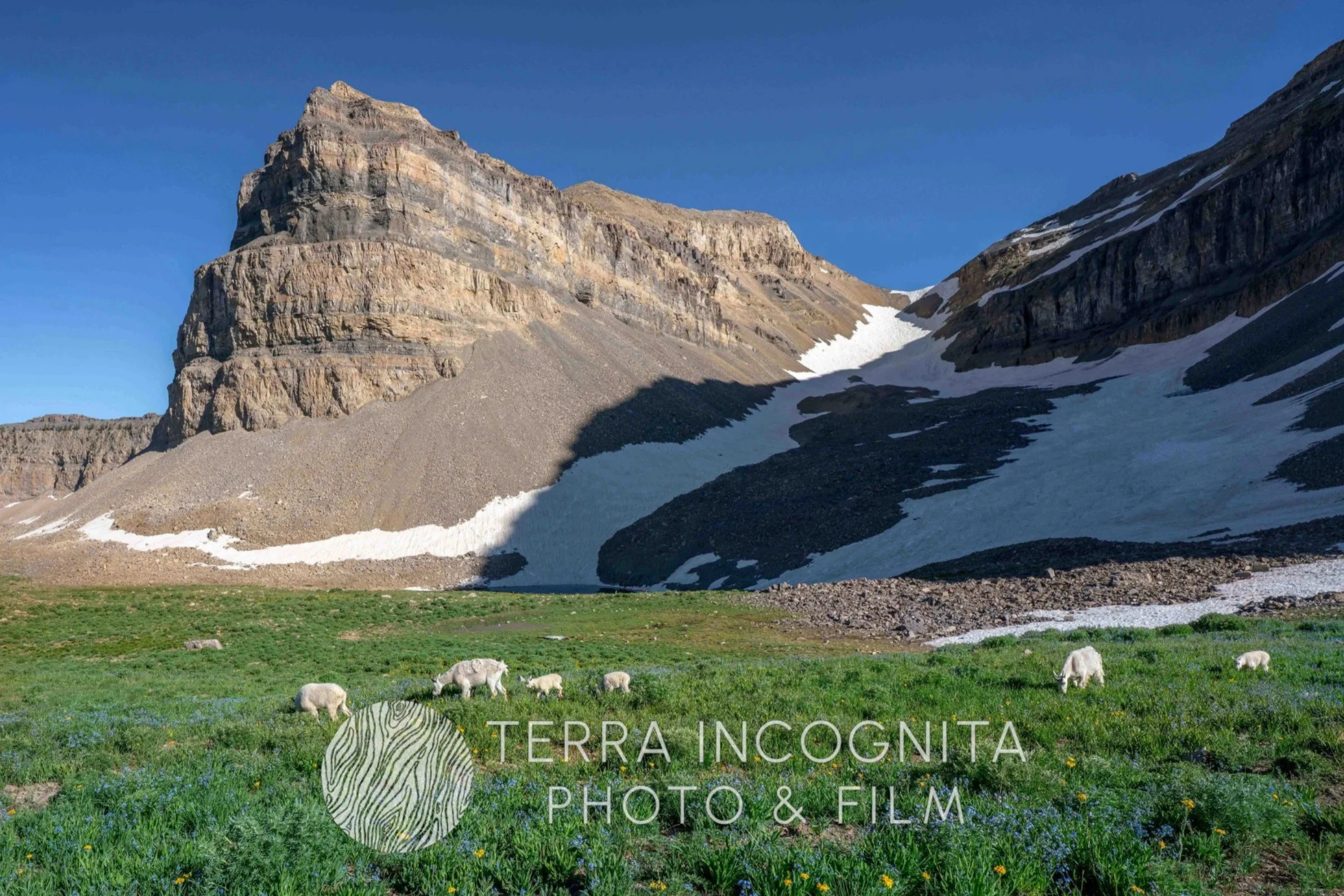 Screenshot 2025-10-16 135147.jpg