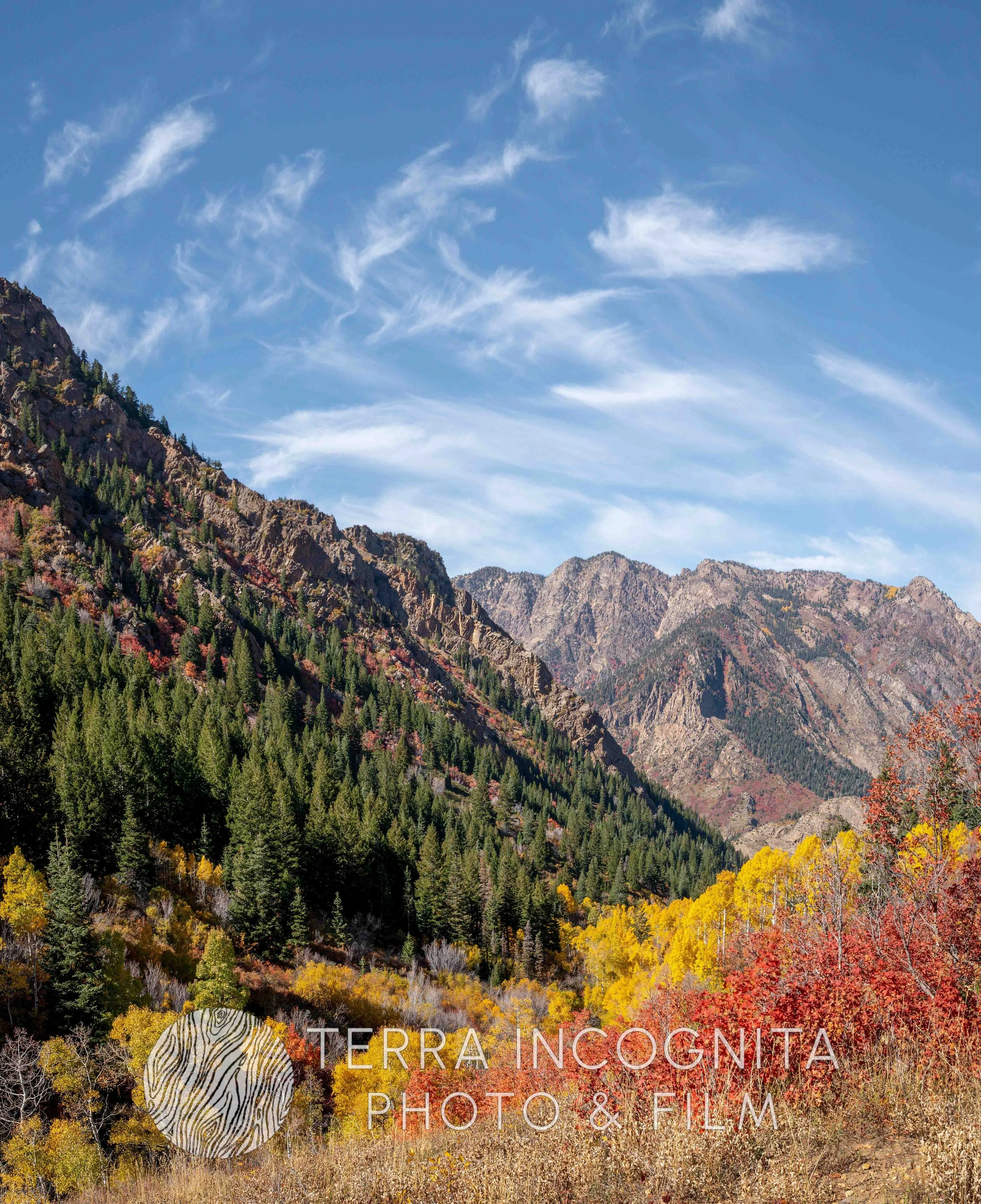 DSC05387 (3)-Pano.jpg