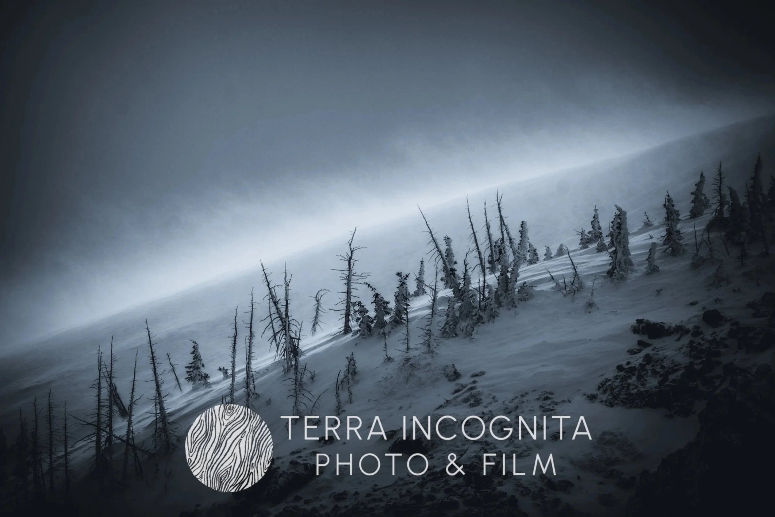 Screenshot 2025-10-16 170020.jpg