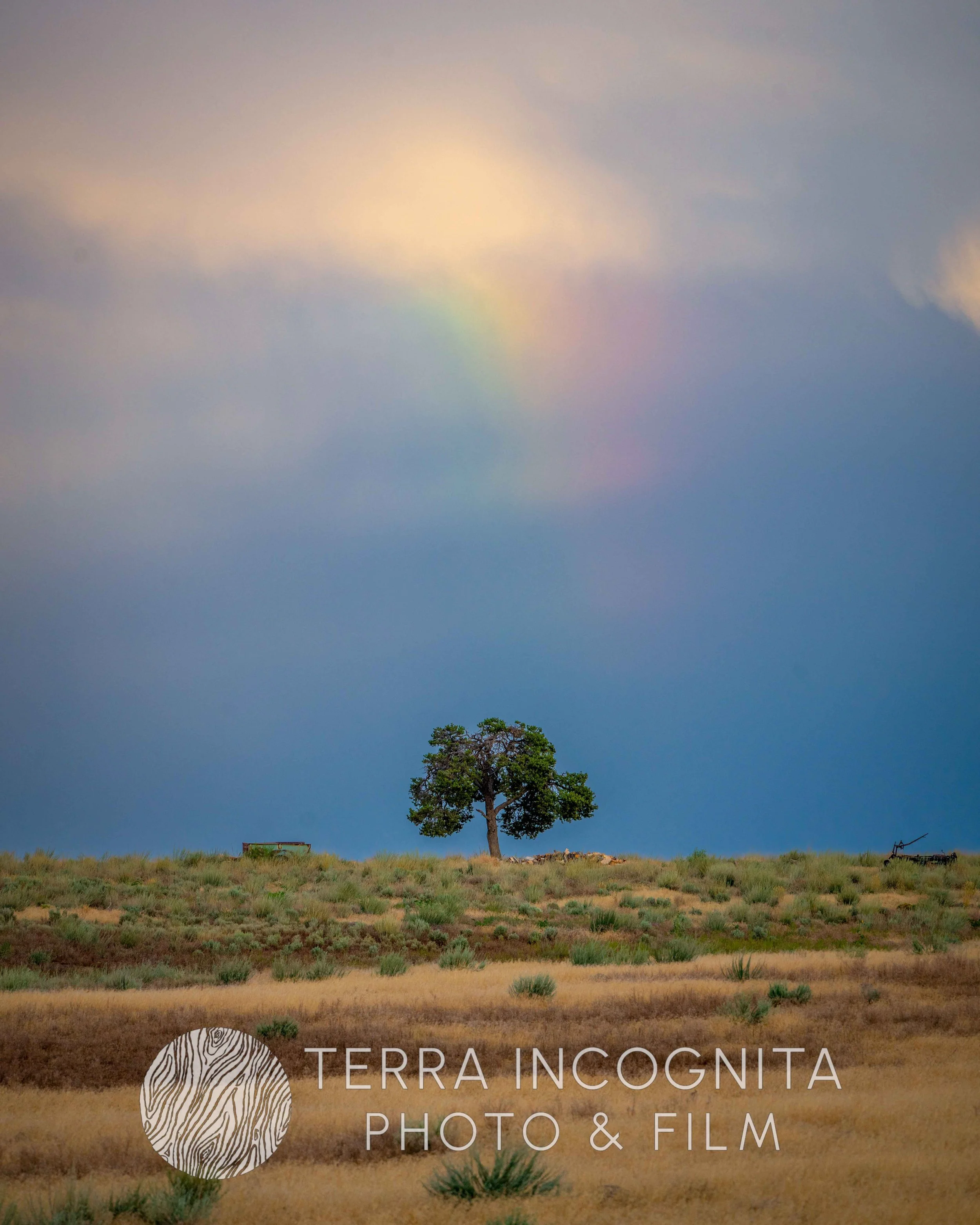 Cabin Exterior (95 of 155) - Copy.jpg