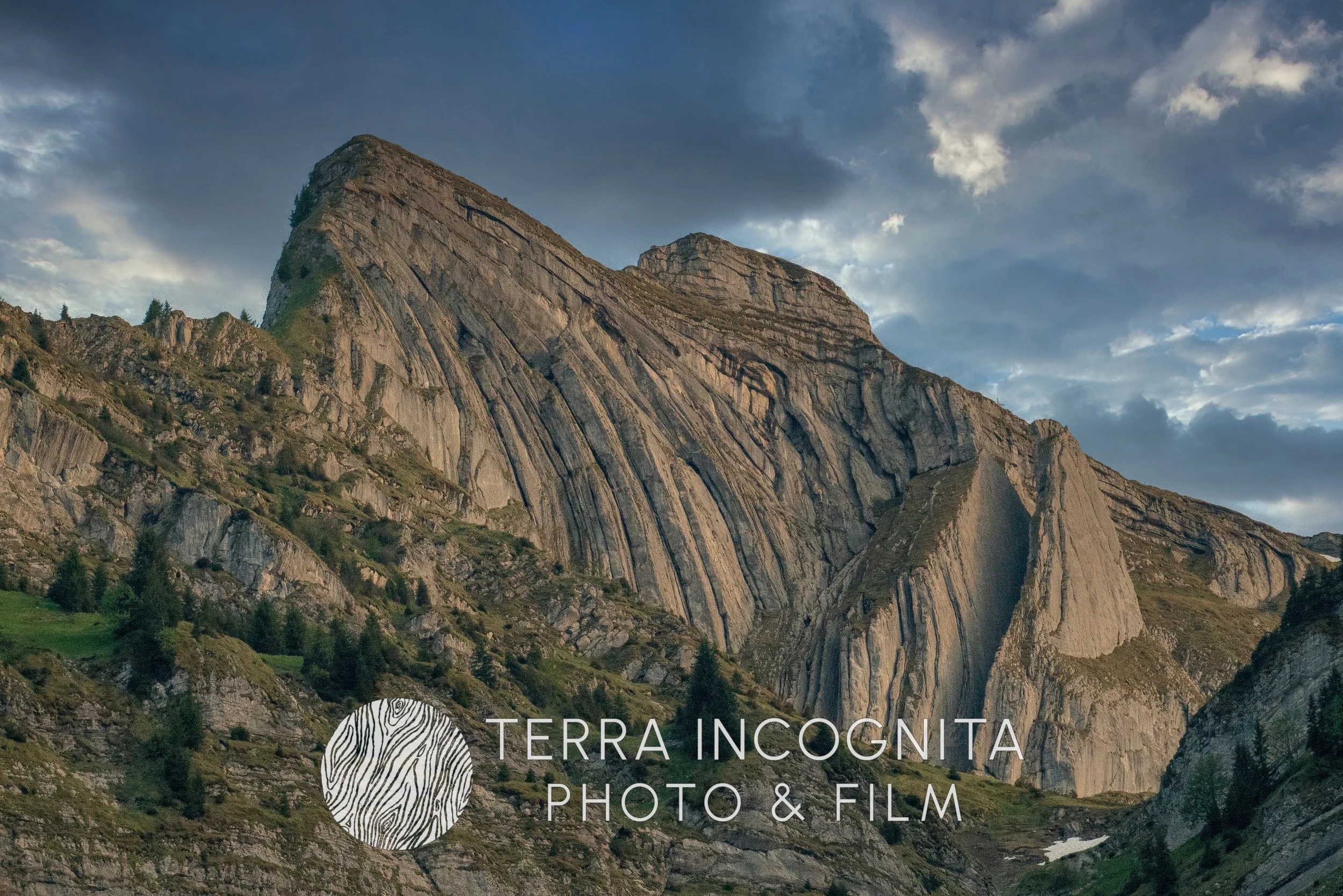 DSC09282 (2)-SharpenAI-stabilize.jpg