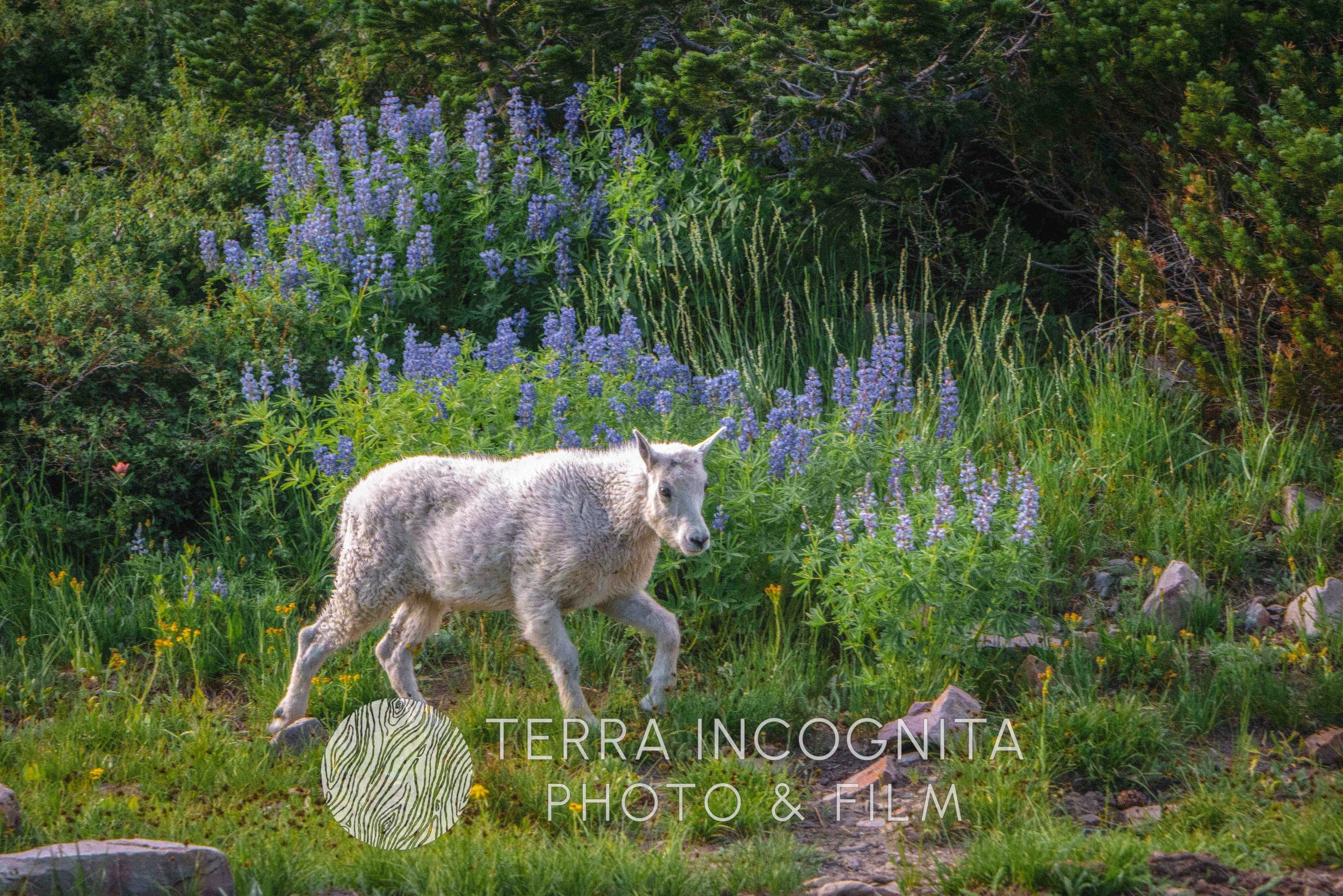 DSC08448 (2)-Edit.jpg