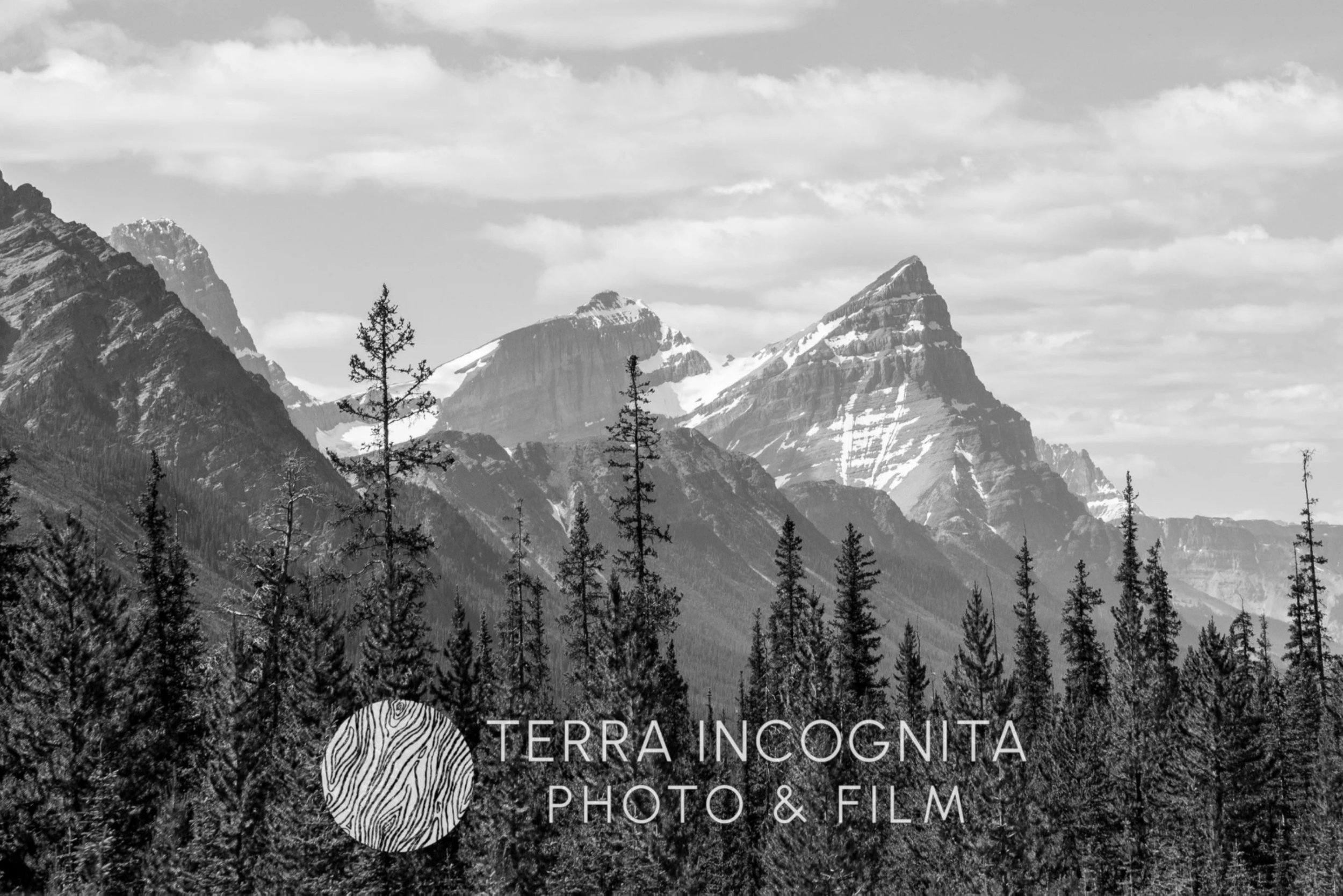 Screenshot 2025-10-16 172112.jpg