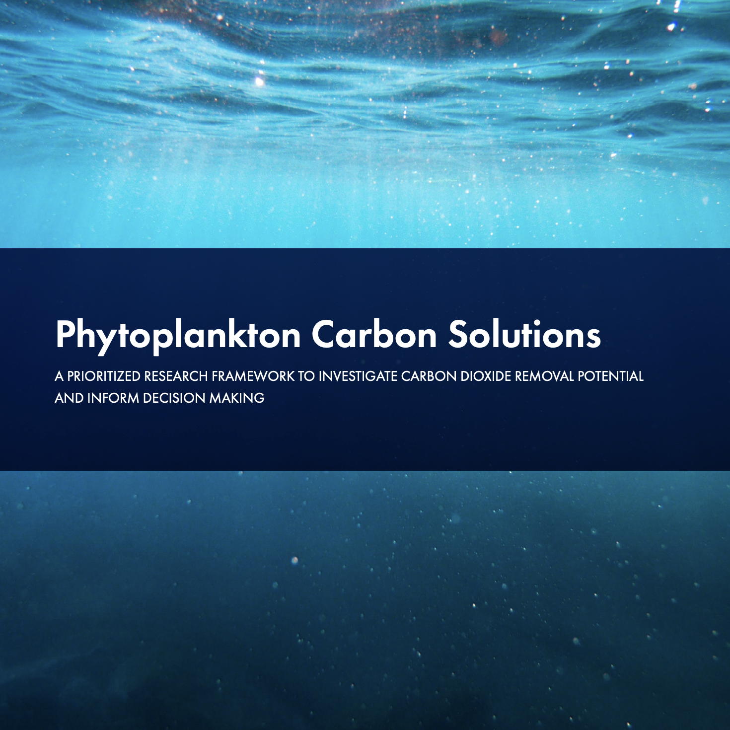 New Ocean Visions Report: Can Phytoplankton Help Close the Carbon Dioxide Removal Gap?