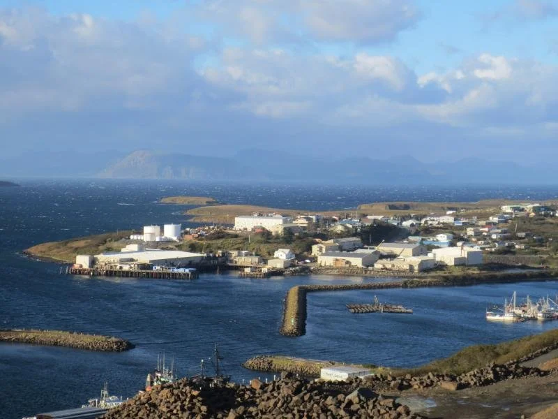 New Tools Help Alaska Communities Prepare for Future Changes in Pacific Cod Distributions