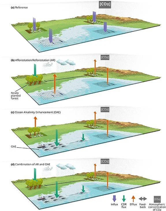 Effective carbon dioxide removal requires a One-Earth approach