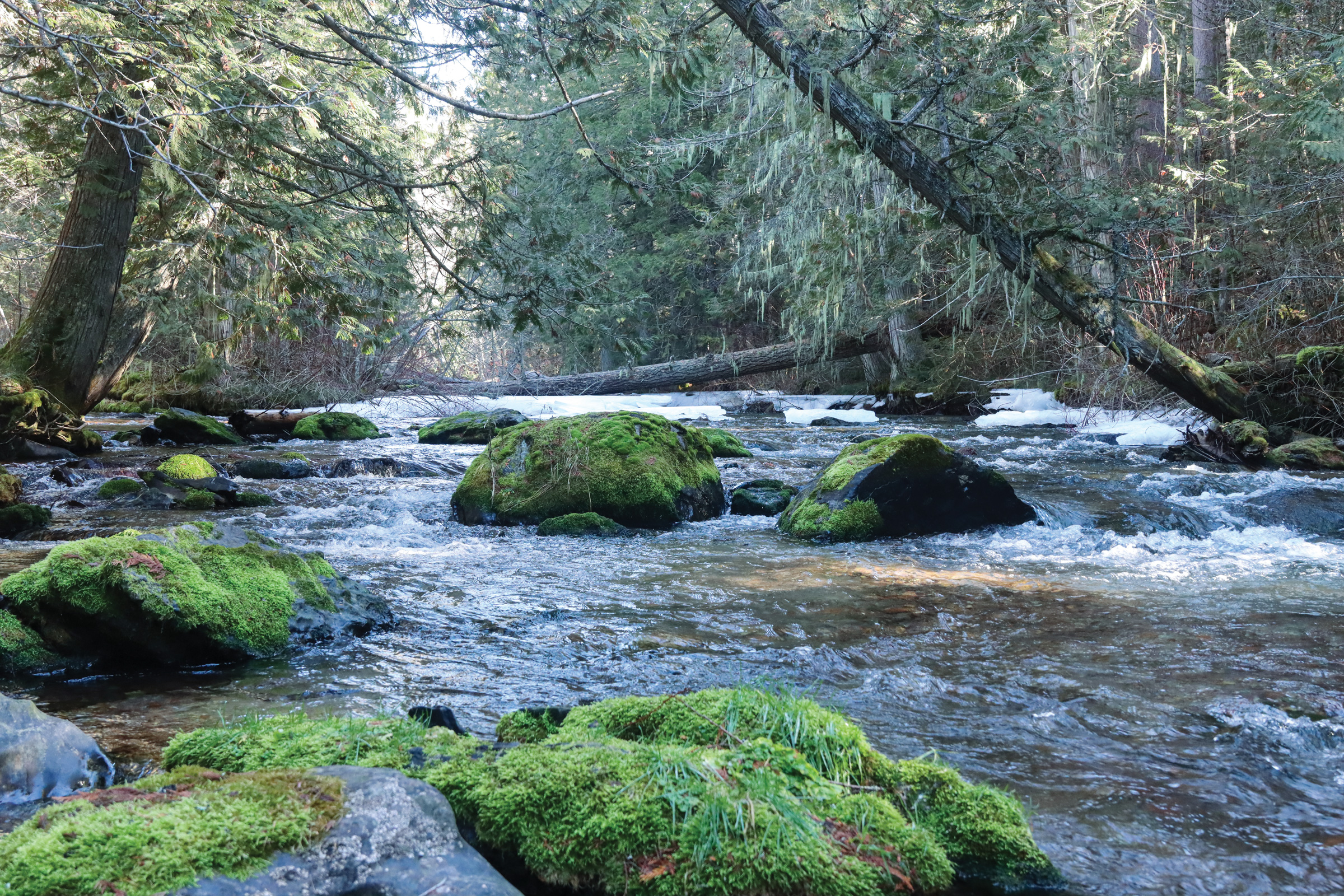How Montana tribes are using sovereignty to restore their waterways