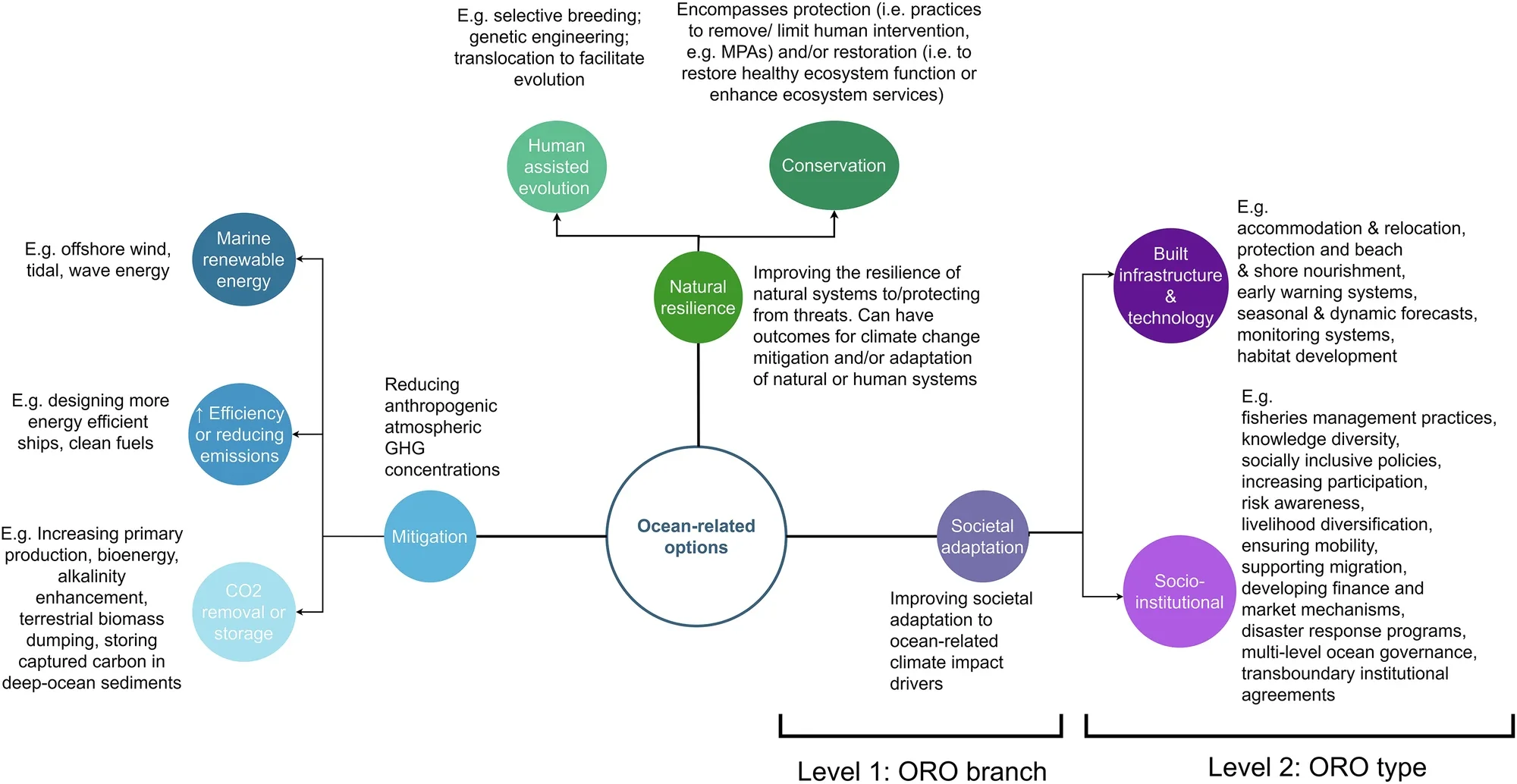 A machine learning-based evidence map of ocean-related options for climate change mitigation and adaptation