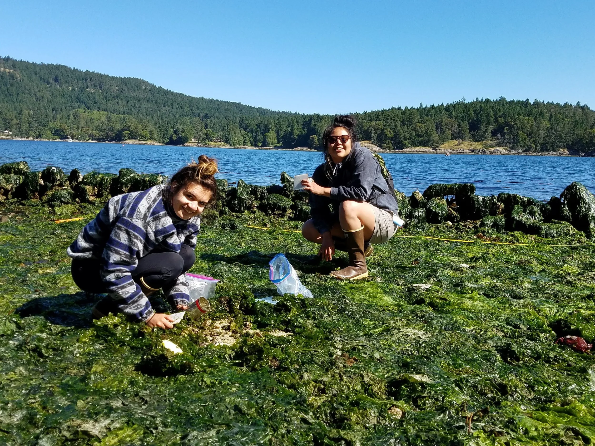 Braiding knowledge: how Indigenous expertise and western science are converging