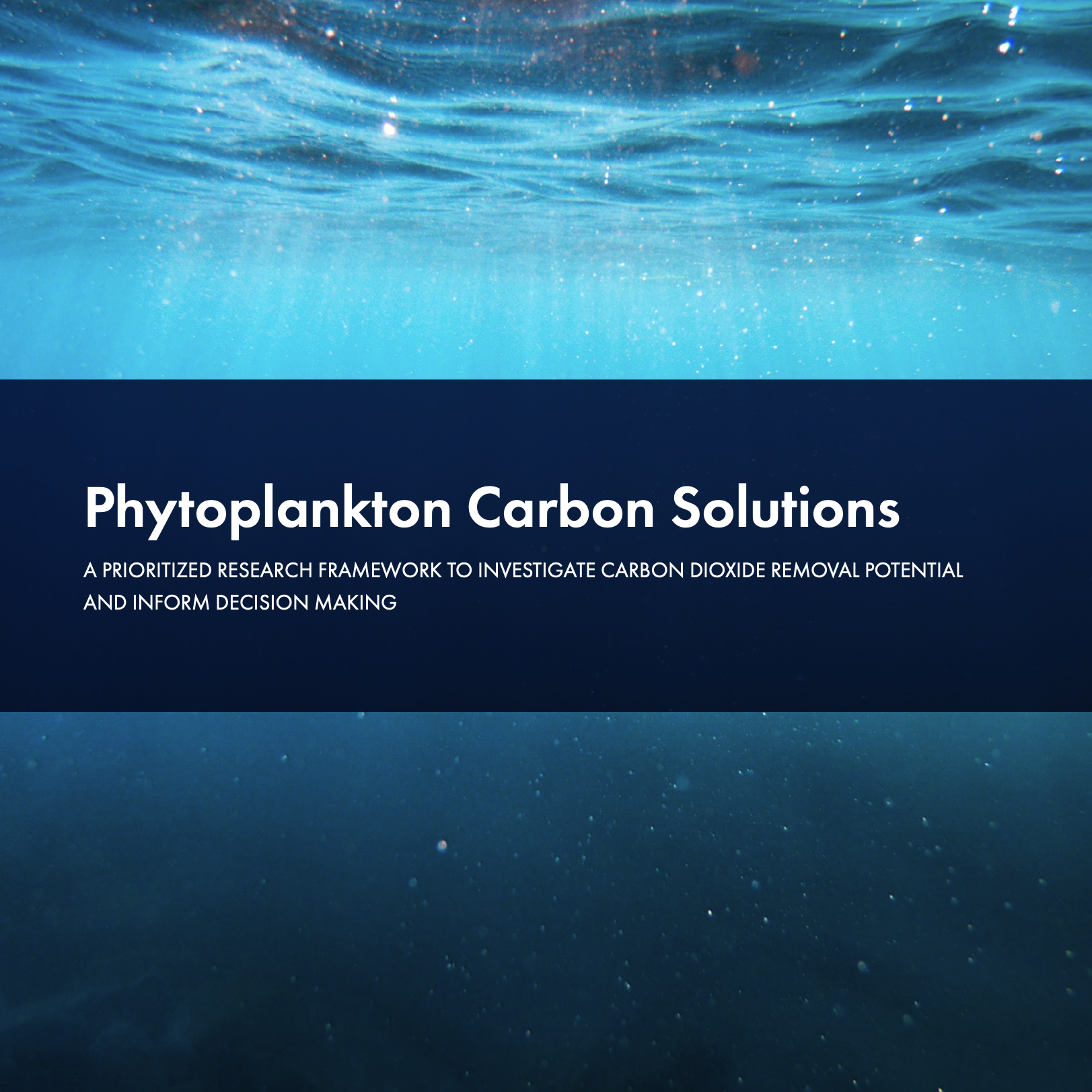 Phytoplankton Carbon Solutions — A Prioritized research framework to investigate carbon dioxide removal potential and inform decision making