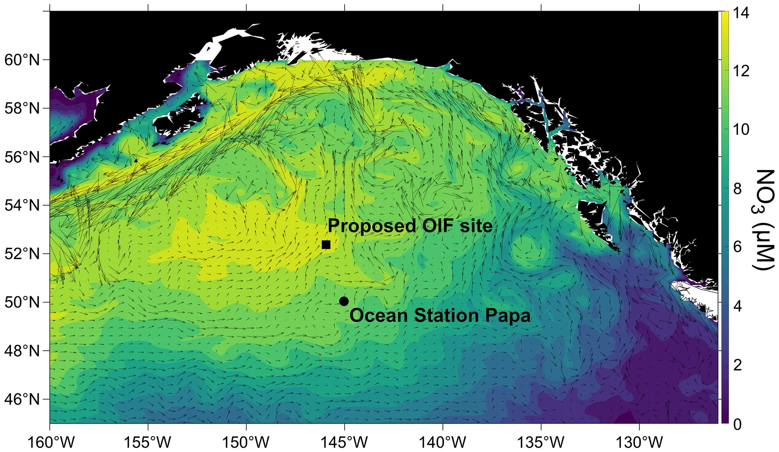 Modeling study highlights need for careful field studies on ocean iron fertilization