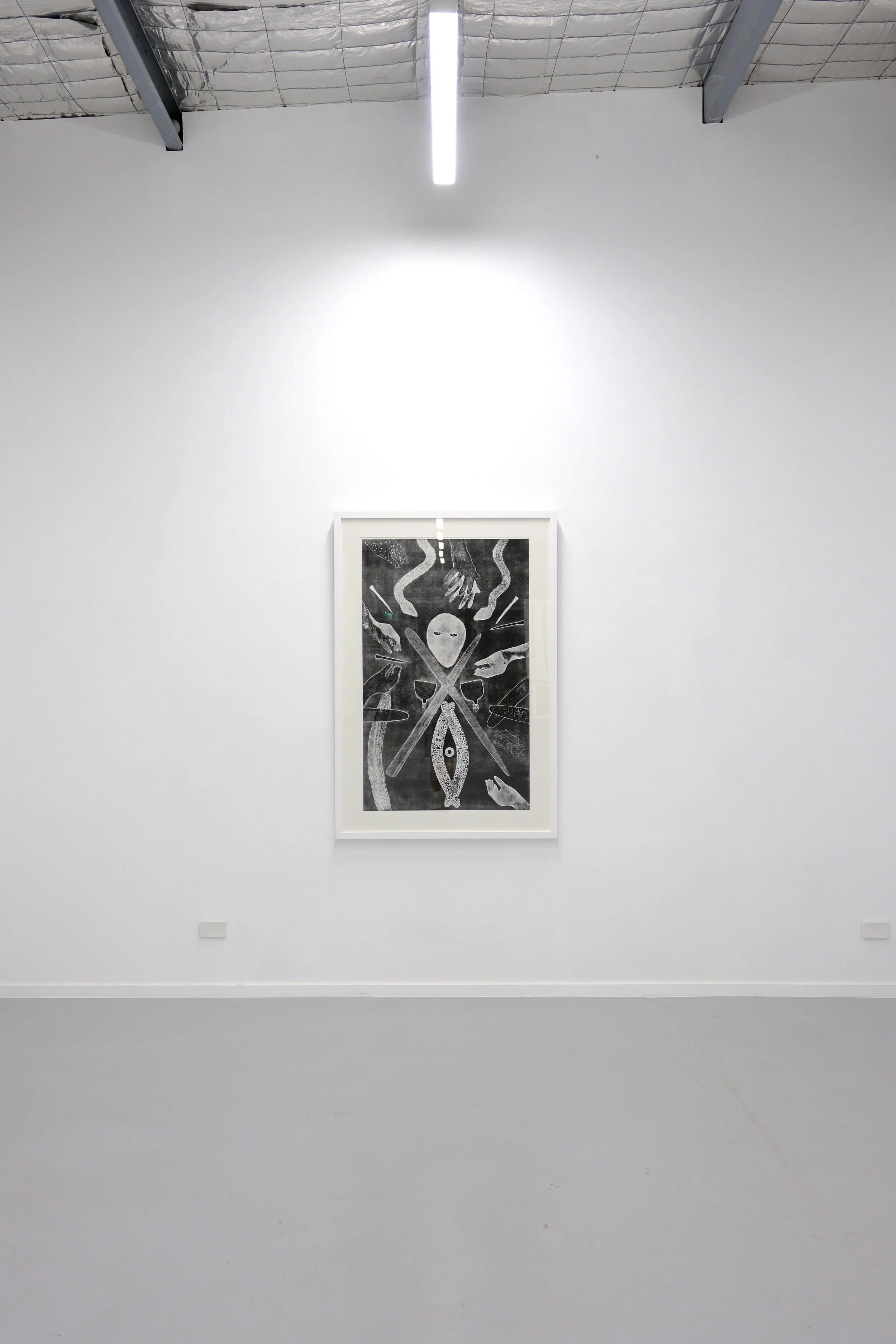 zena zada_install photography1.jpeg