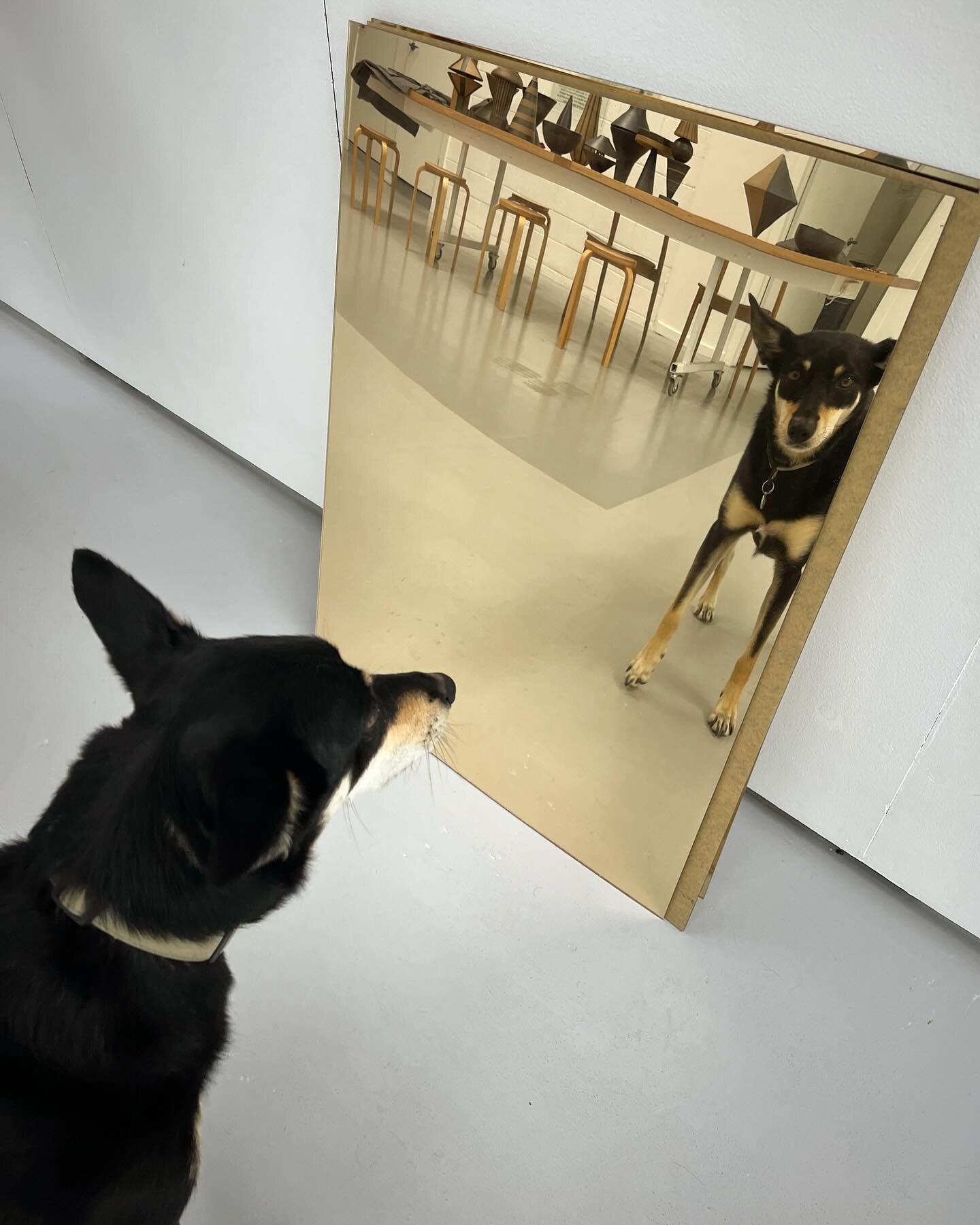 Bonnie having her Narcissus moment. BTS of Belinda Wiltshire&rsquo;s freshly completed exhibition Echo, a debut collection of sculptural ceramics, reflected in golden glory!