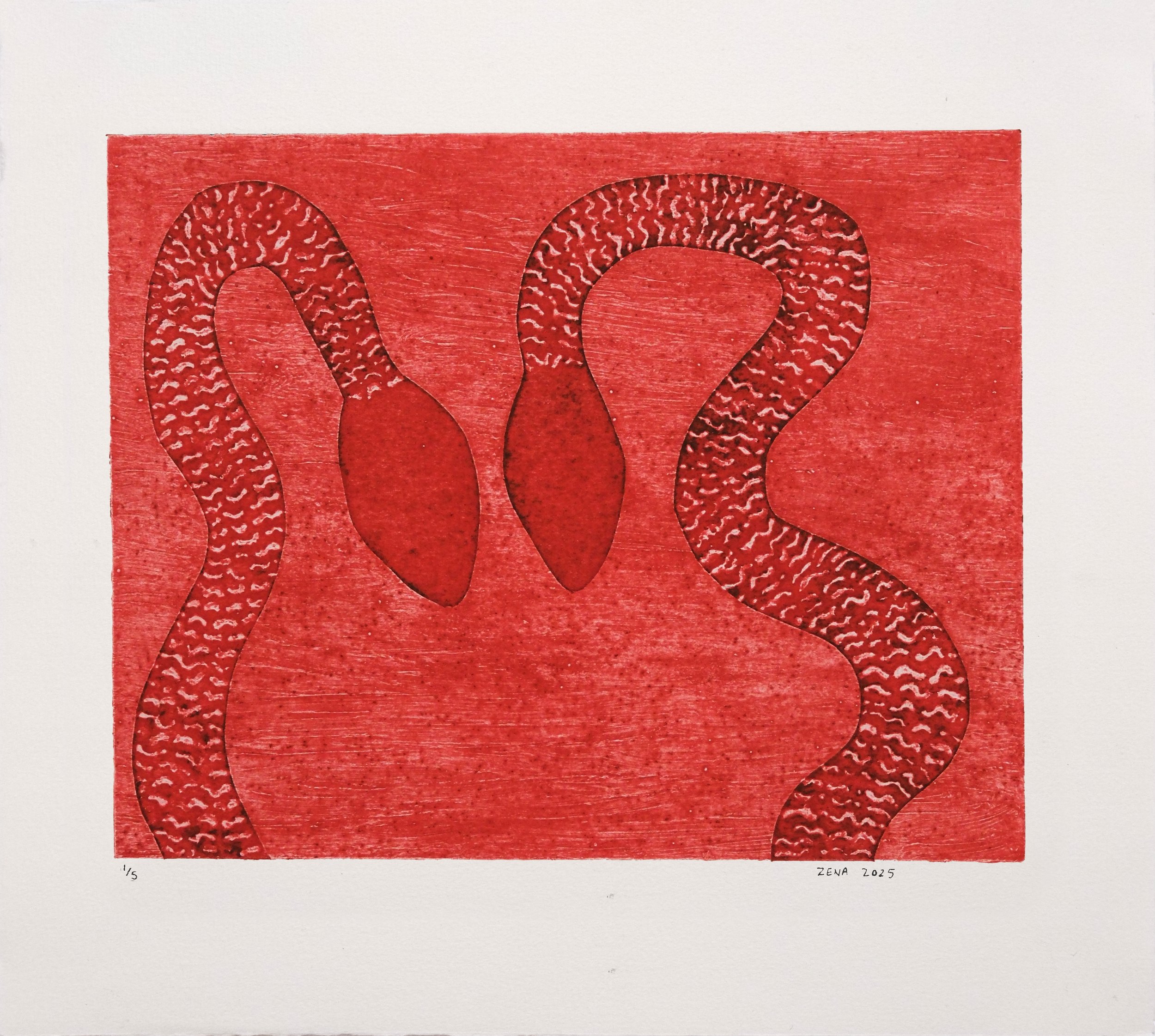  ngatyi (red) , 2025
 collagraph on paper
 Edition of 5 (Basil Hall Editions)
 390 x 354 mm (paper size)
 306 x 245 mm (image size)
 $330 AUD