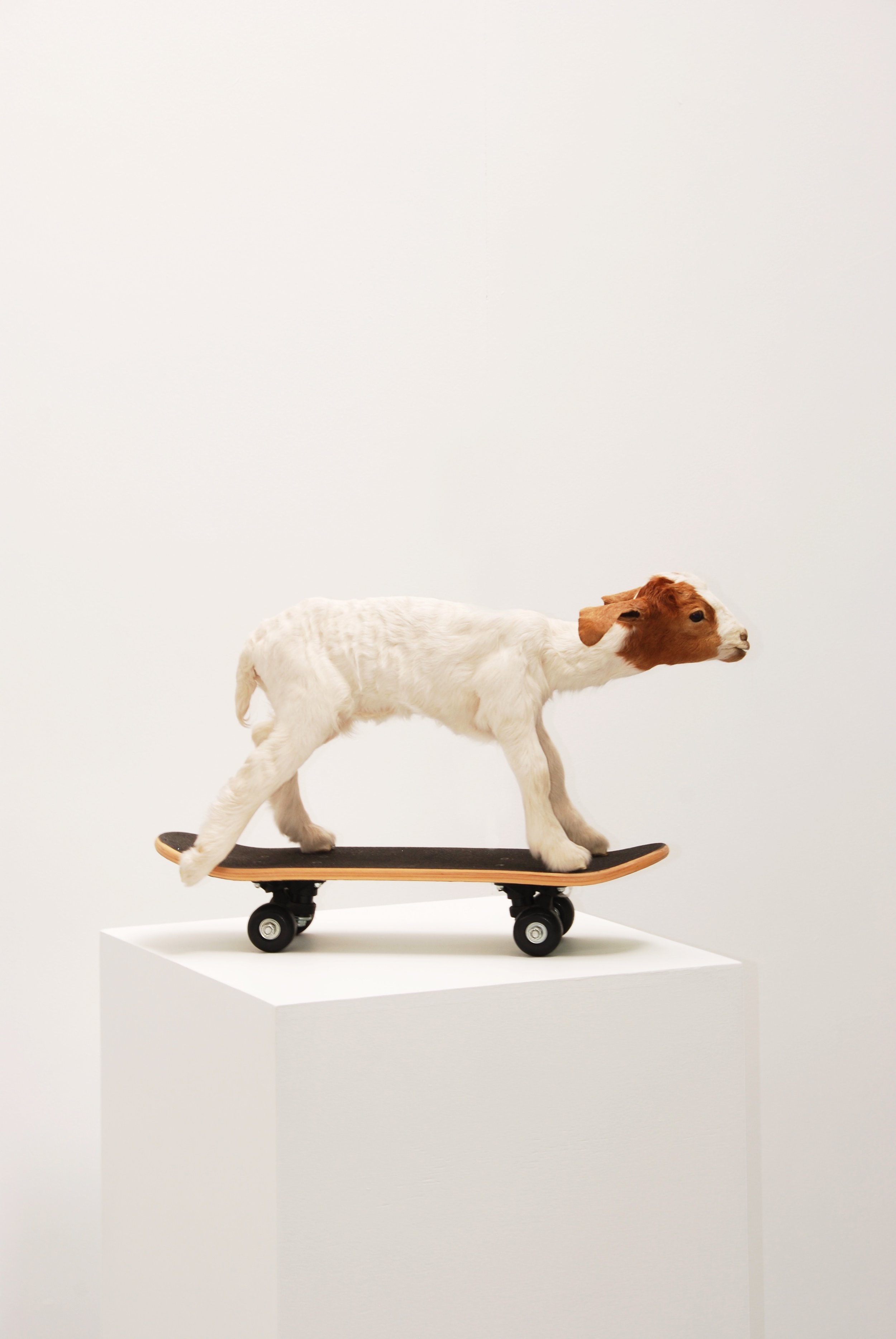 Annette Allman<br><i>Archetypes</i><br>31 Mar – 30 Apr 2023