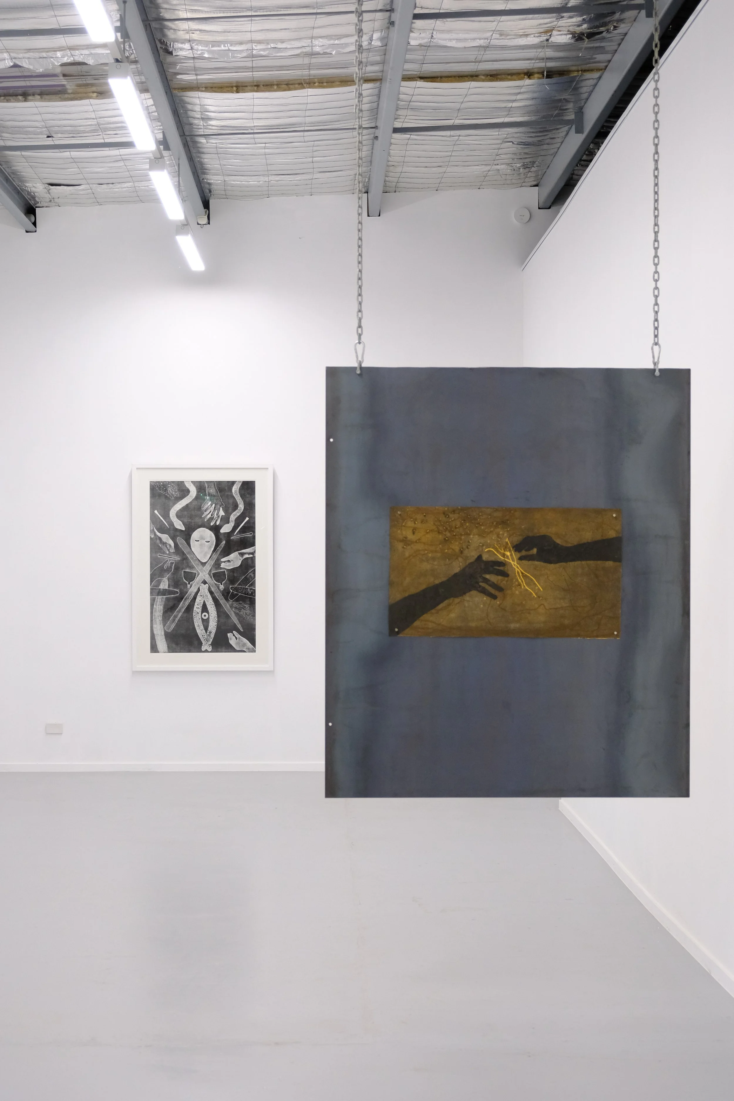 zena zada_install photography2.jpeg