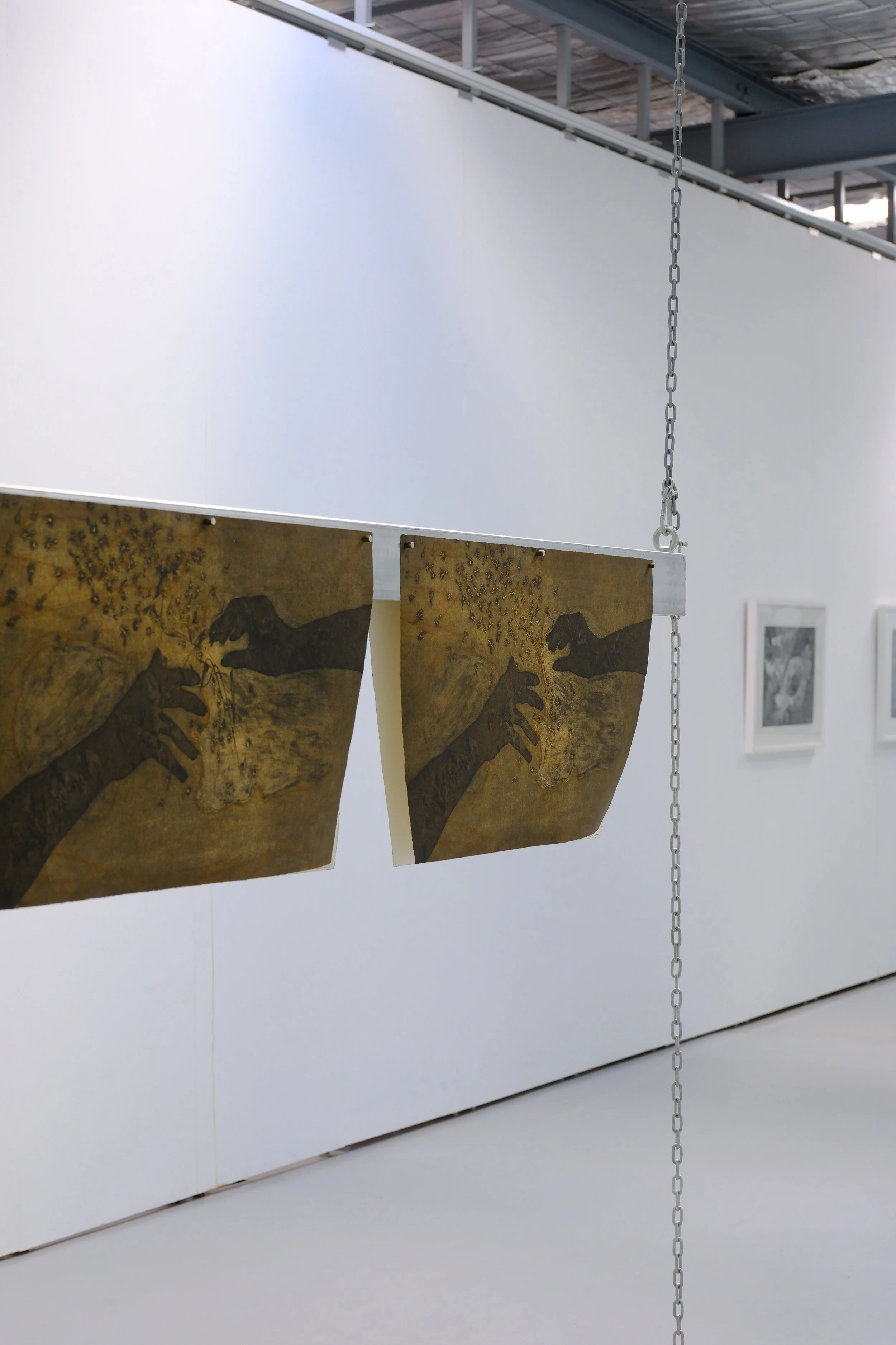 zena zada_install photography5.jpeg