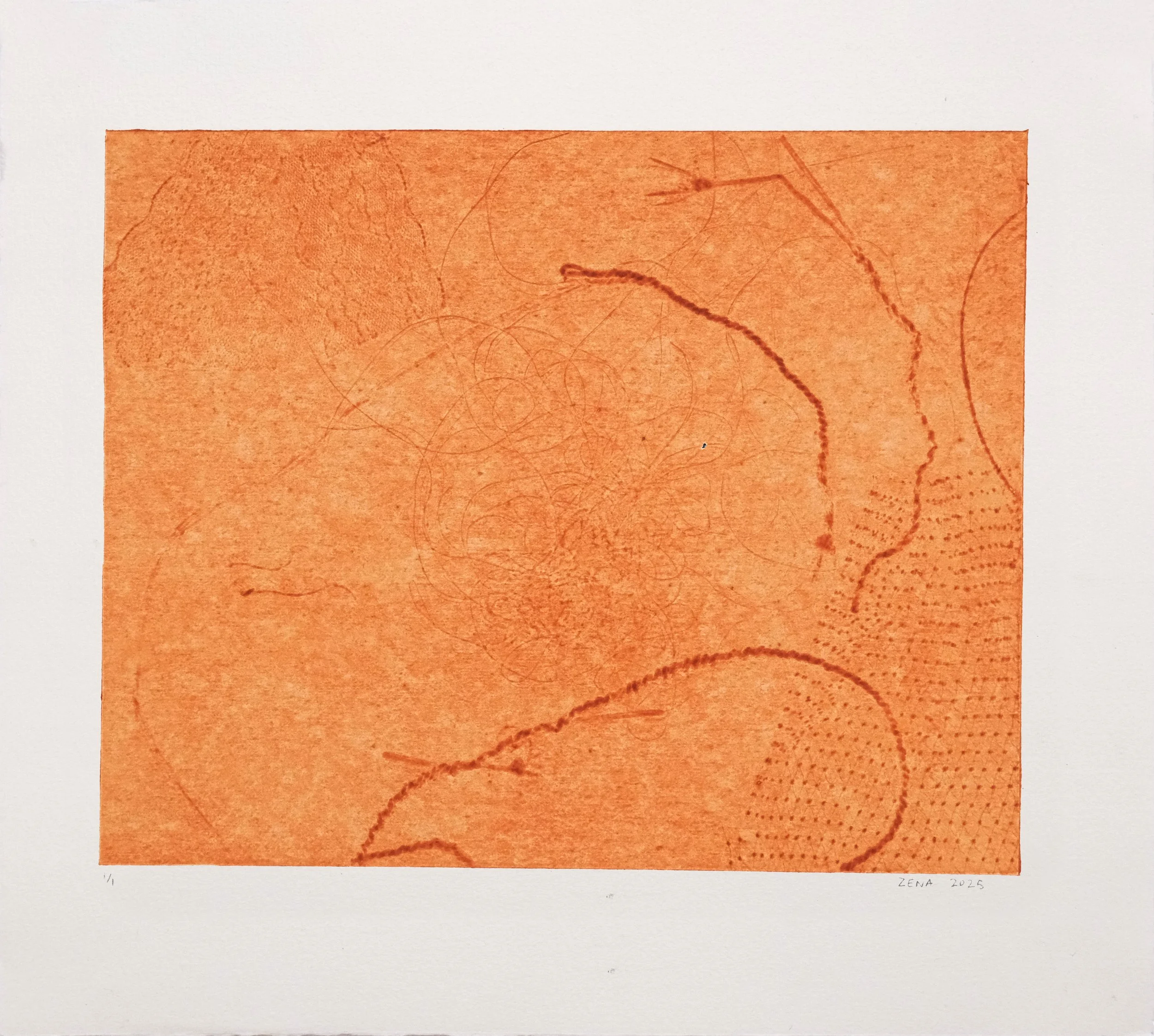  string sedge (orange) , 2025
 collagraph on paper
 Edition of 1  (Basil Hall Editions)
 390 x 356 mm (paper size)
 308 x 246 mm (image size)
 $440 AUD