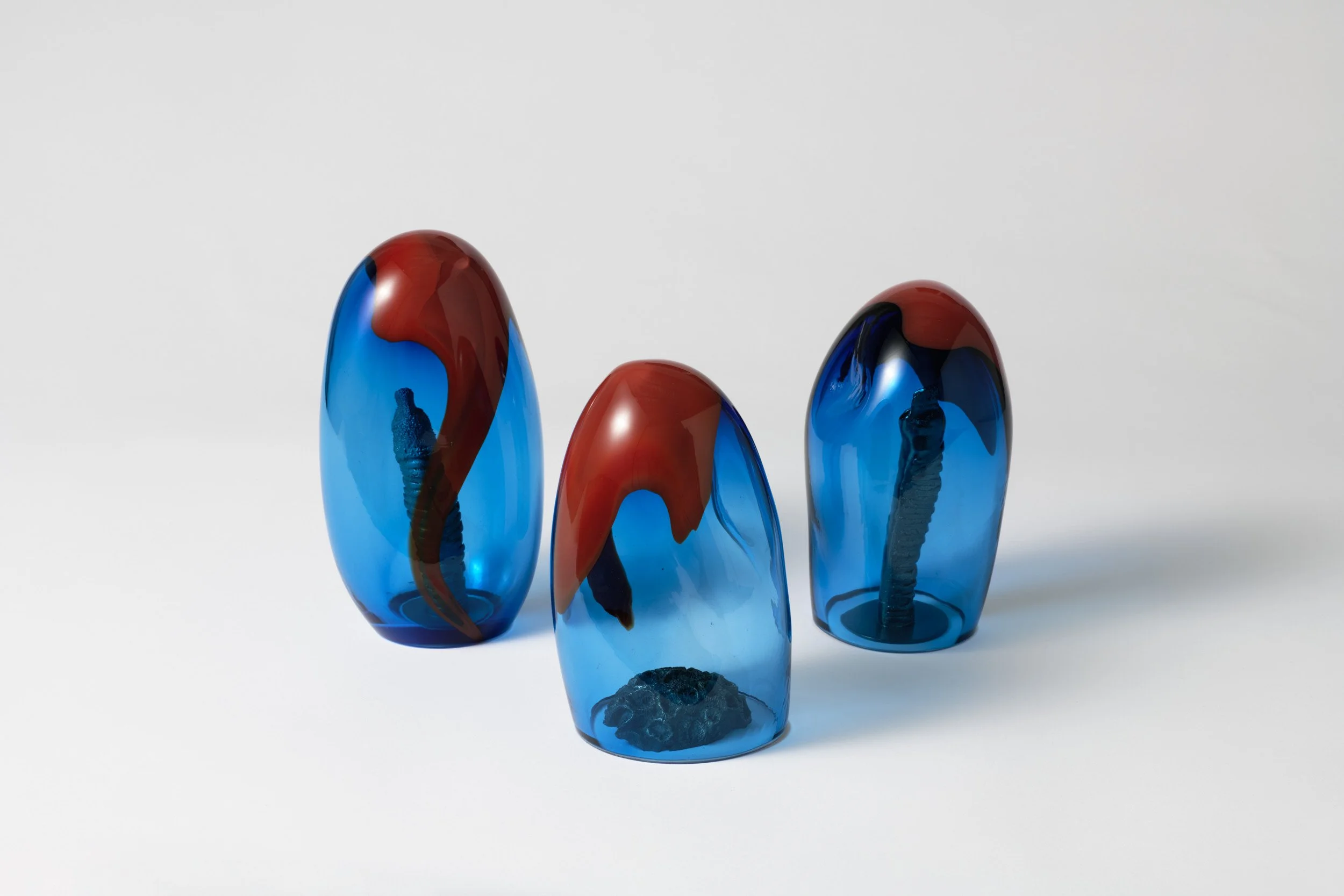  Ataraxia/ ἀταραξία , 2025-2026
 blown glass, bronze, copper, epoxy, glass beads, paint, shibuichi alloy, electroplate
 Various dimensions
  $3,700