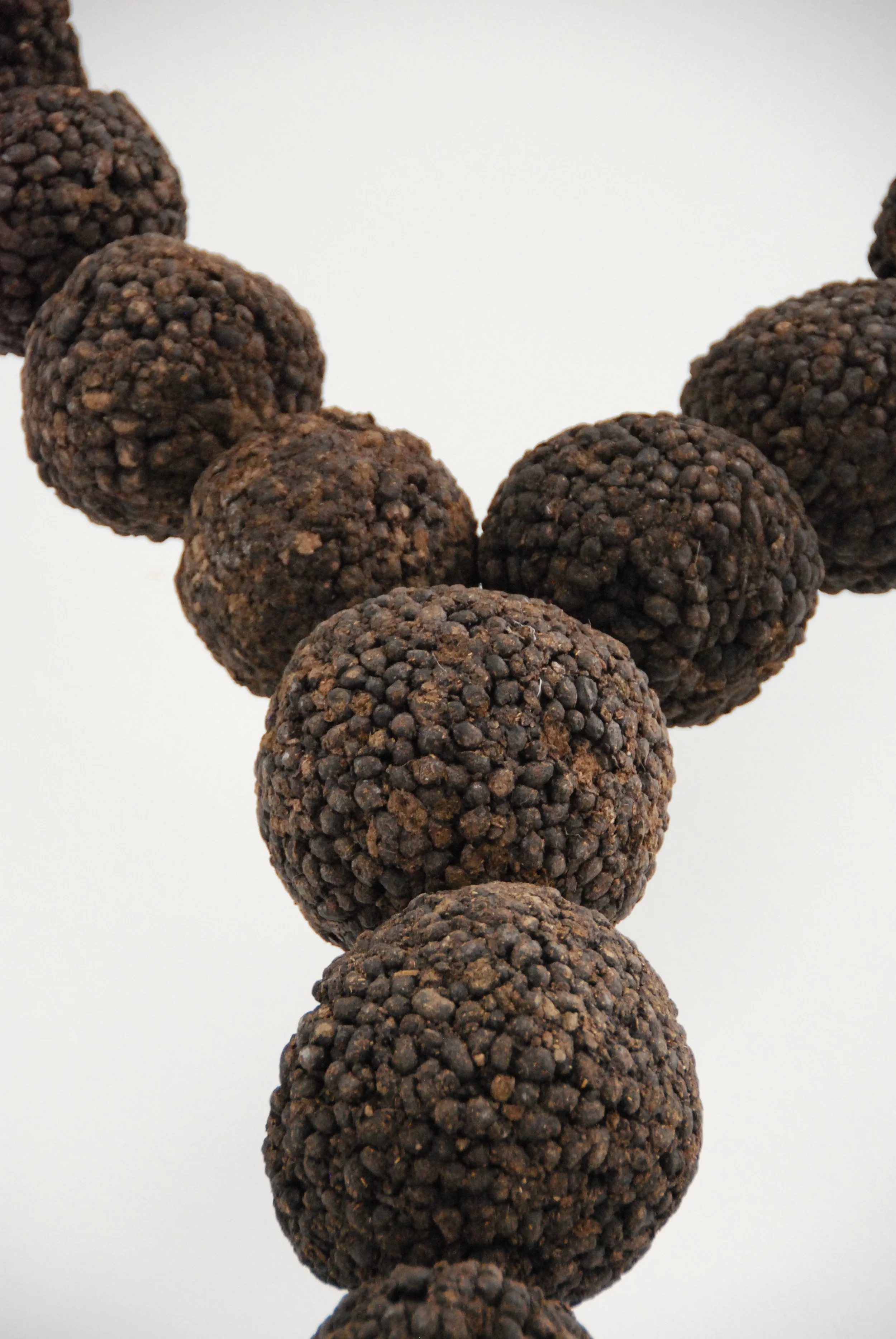 EVERYMAN_ANNETTE ALLMAN.JPG