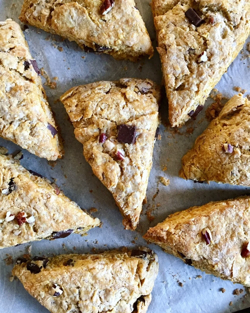 Dark Chocolate Pecan Pumpkin Scones