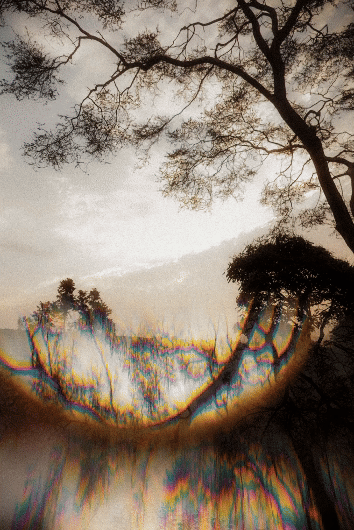 Alex y Ric Fashion Shoot 1.gif