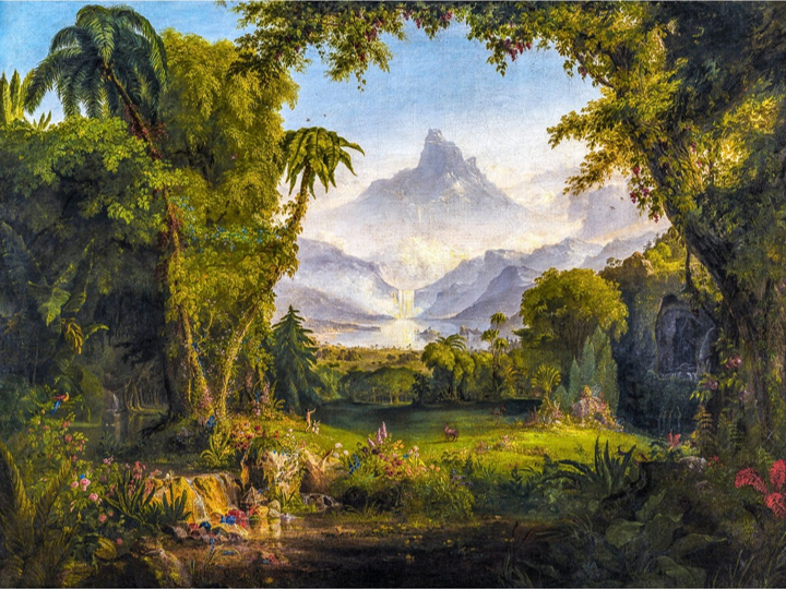 Social Trading and The Garden of Eden