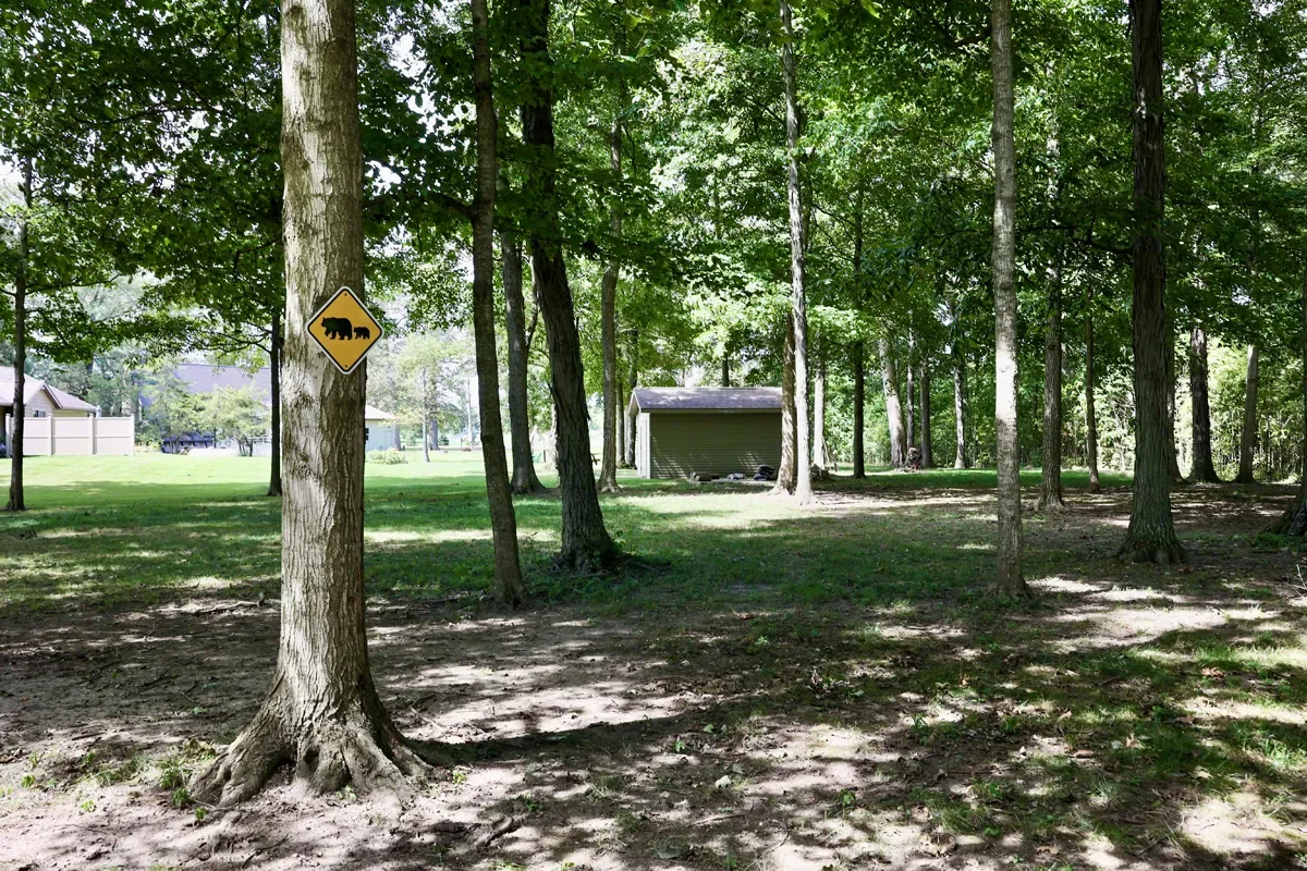 A wooded area with tall trees, a sign on one of the trees showing a bear icon, and a small building or shed in the background.