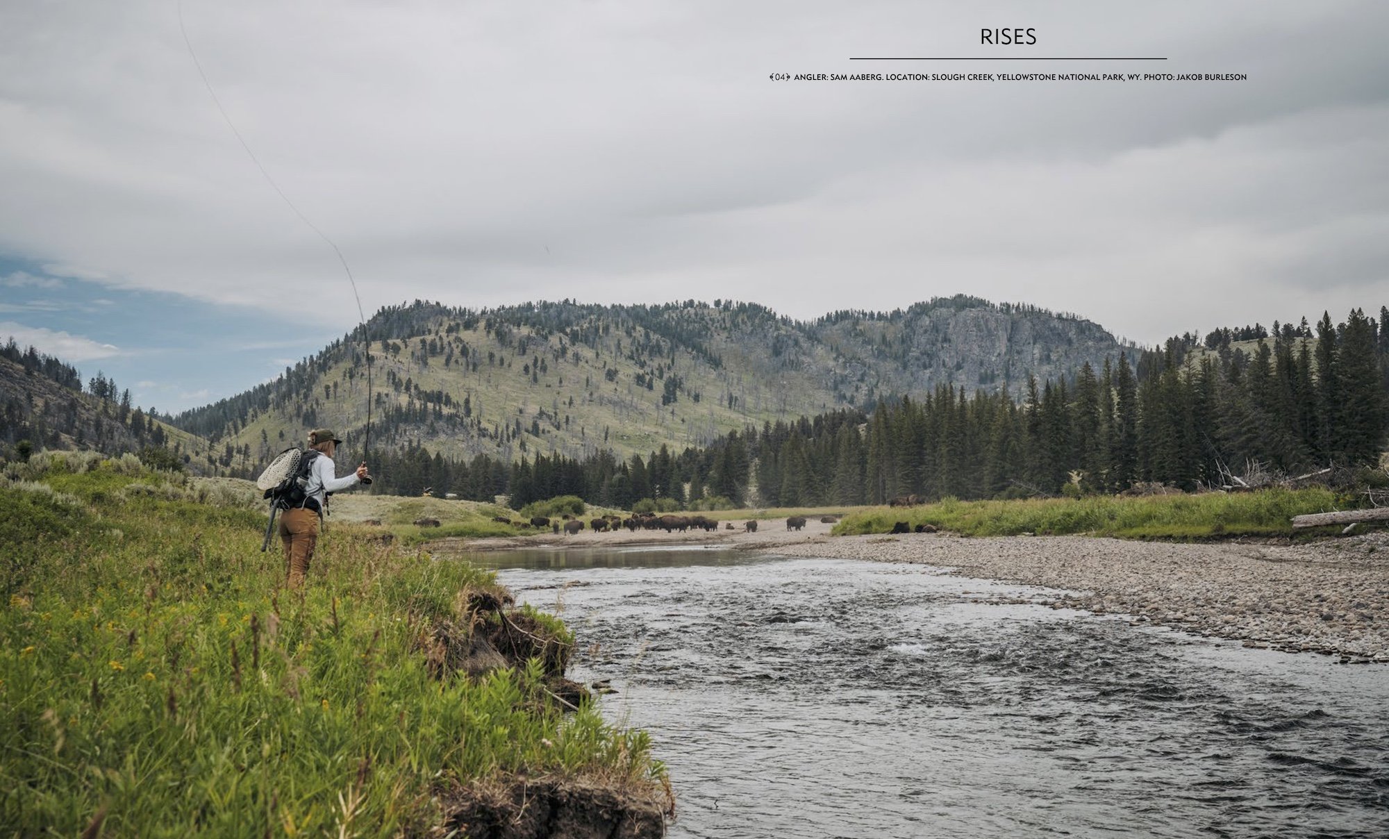 The Flyfish Journal Volume Fifteen, Issue Four