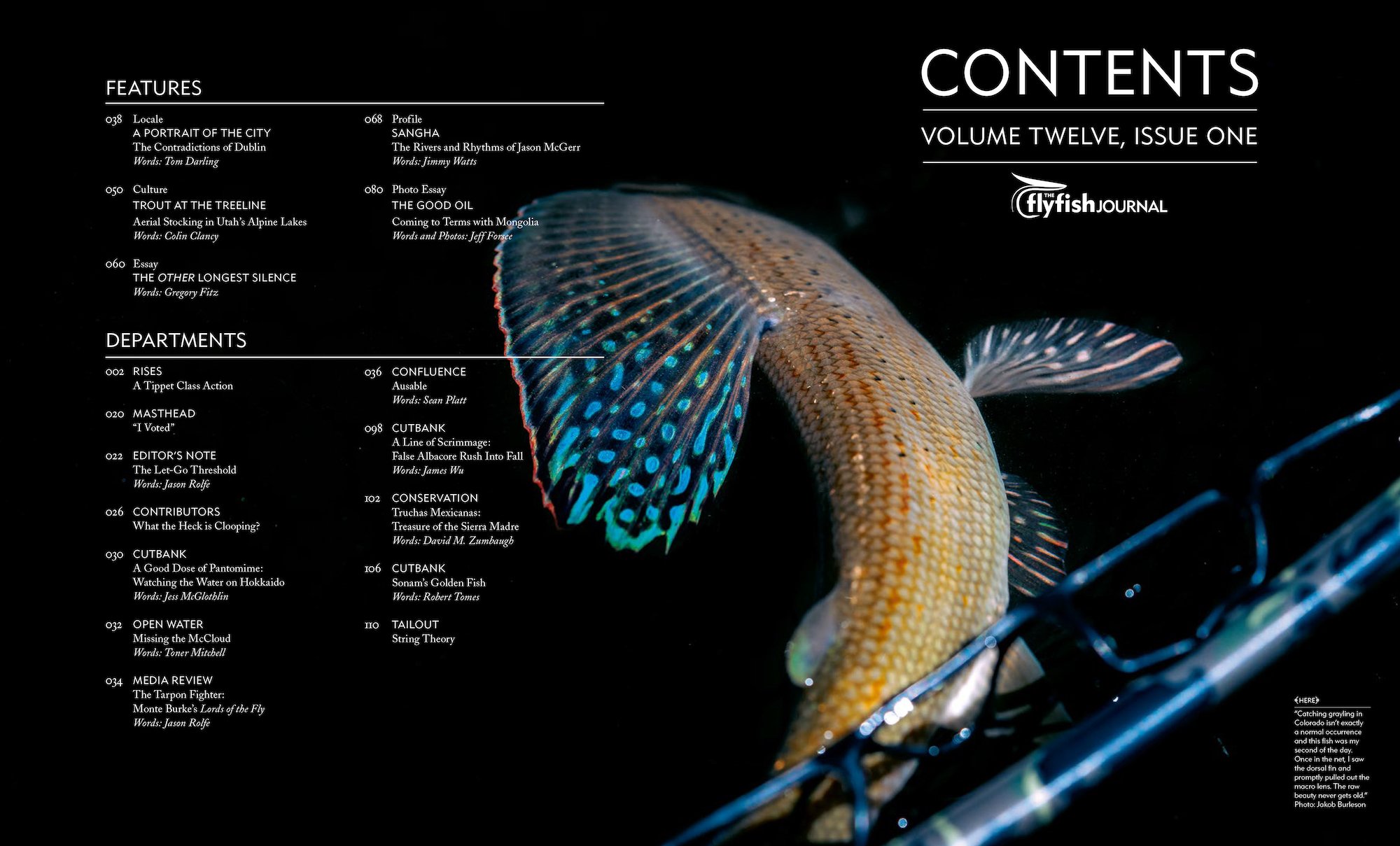 The Flyfish Journal Volume Twelve, Issue One